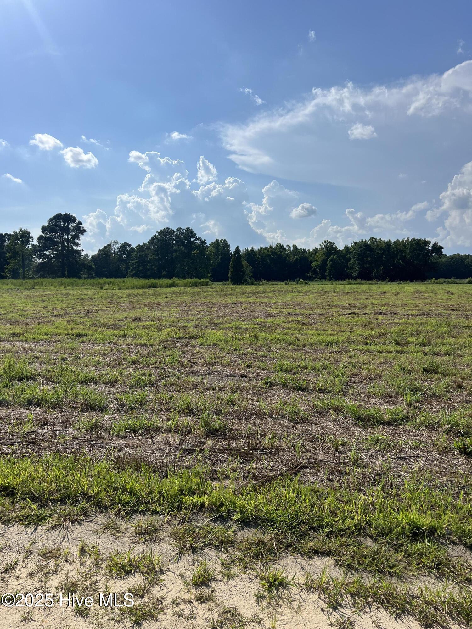 2 Seed Tick Neck Road Property Photo 8