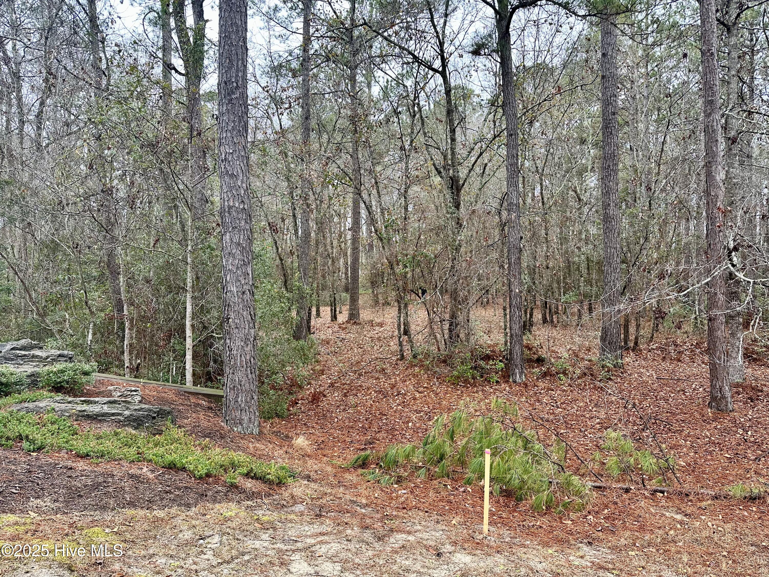 538 Lindgrove Place Property Photo 3