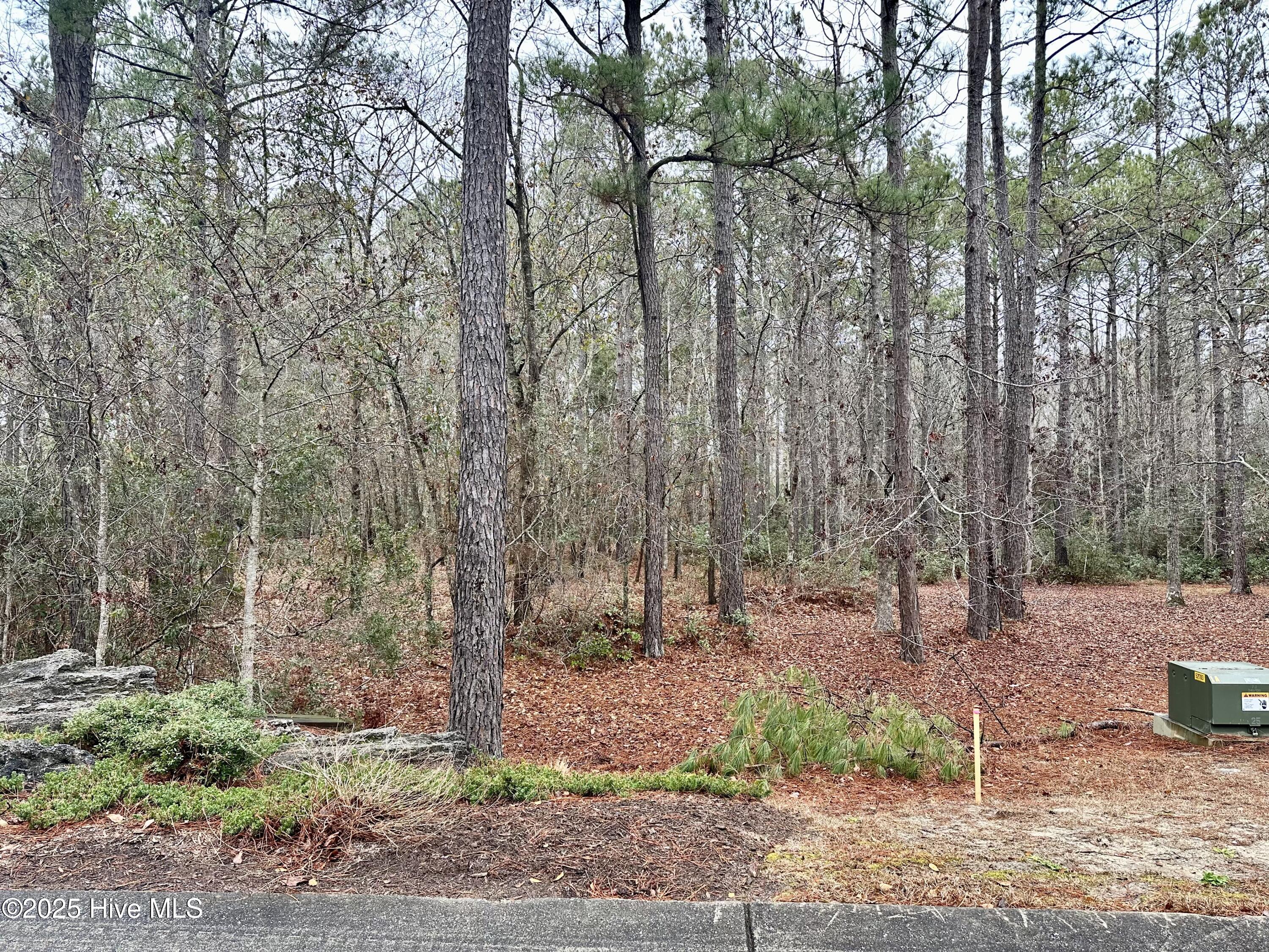 538 Lindgrove Place Property Photo 4
