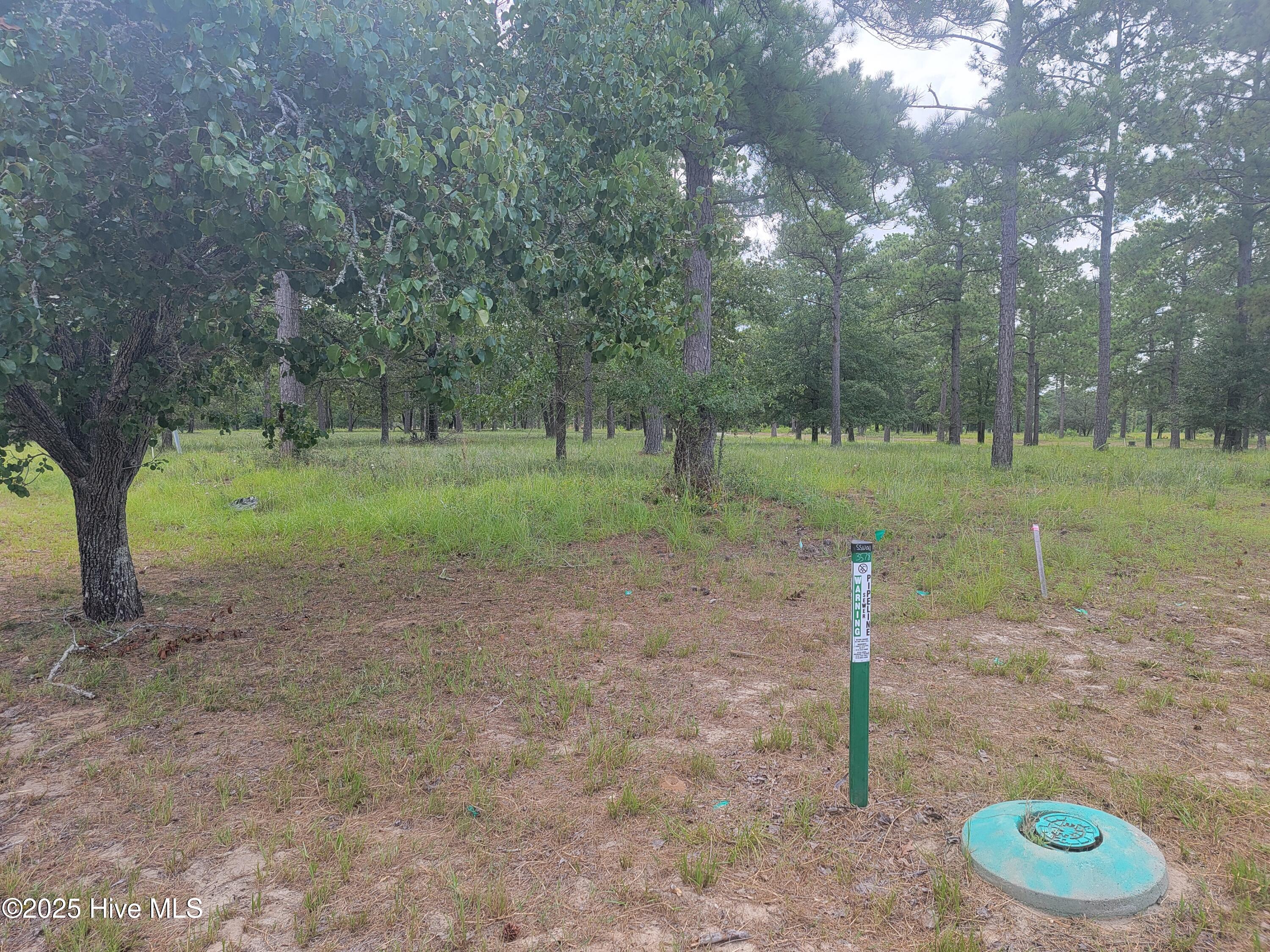 7536 Wallace Place Property Photo 3