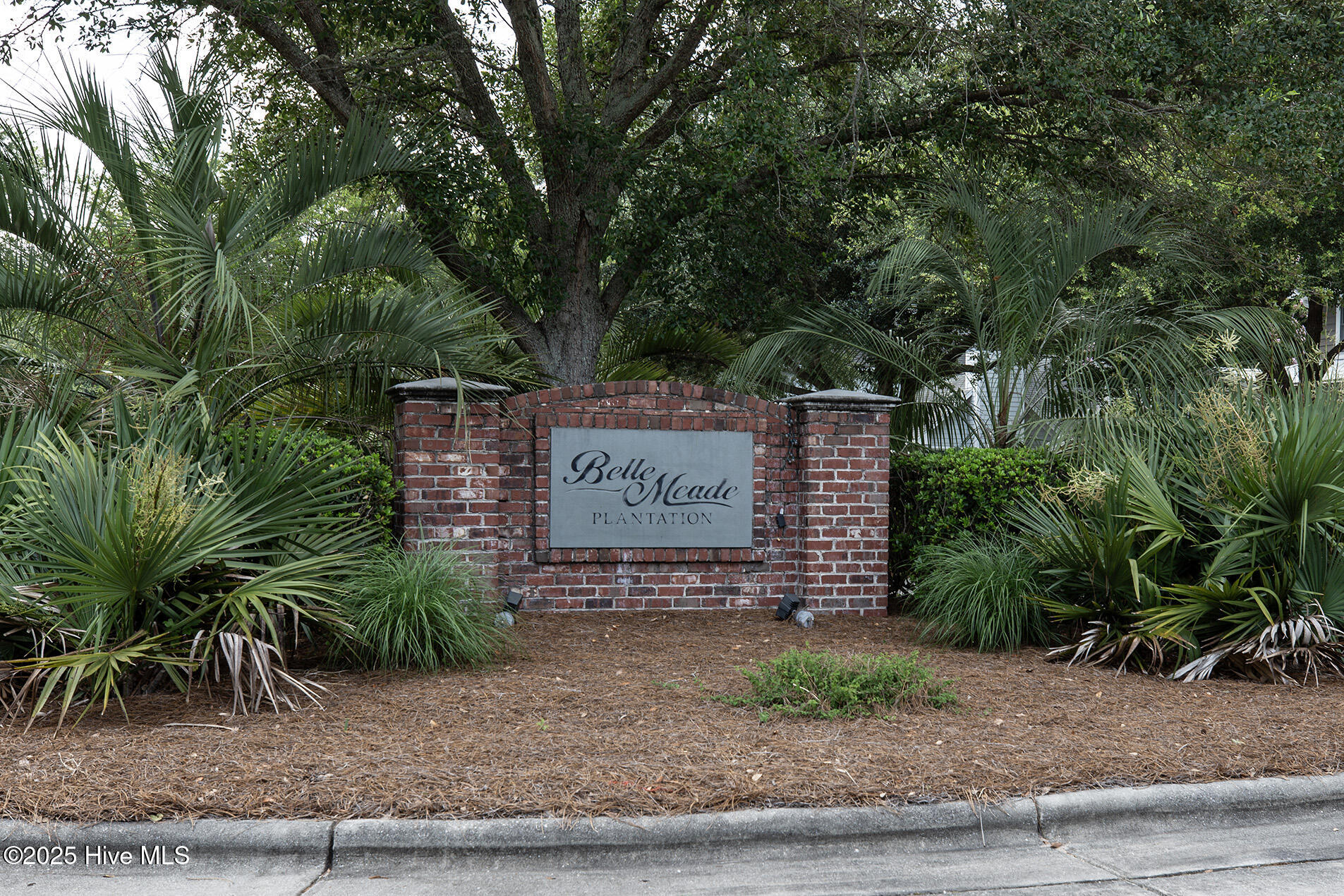 4217 Pine Hollow Drive Property Photo 39