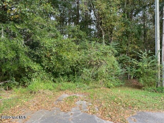 0 Near 715 E 1st Avenue Property Photo 1