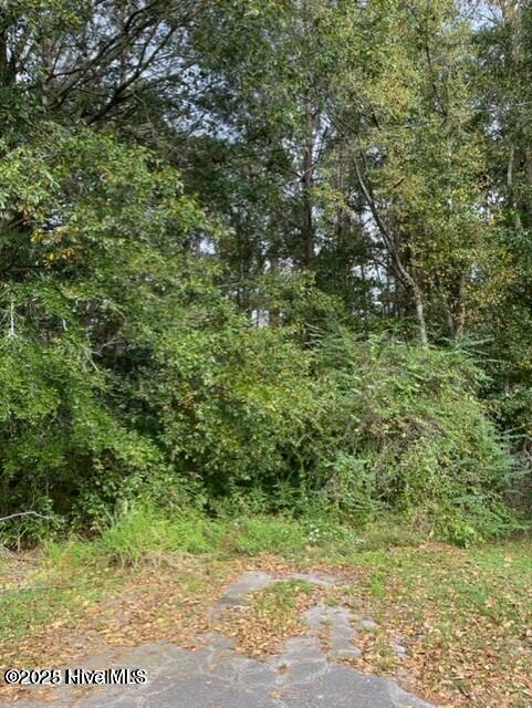 0 Near 715 E 1st Avenue Property Photo 2