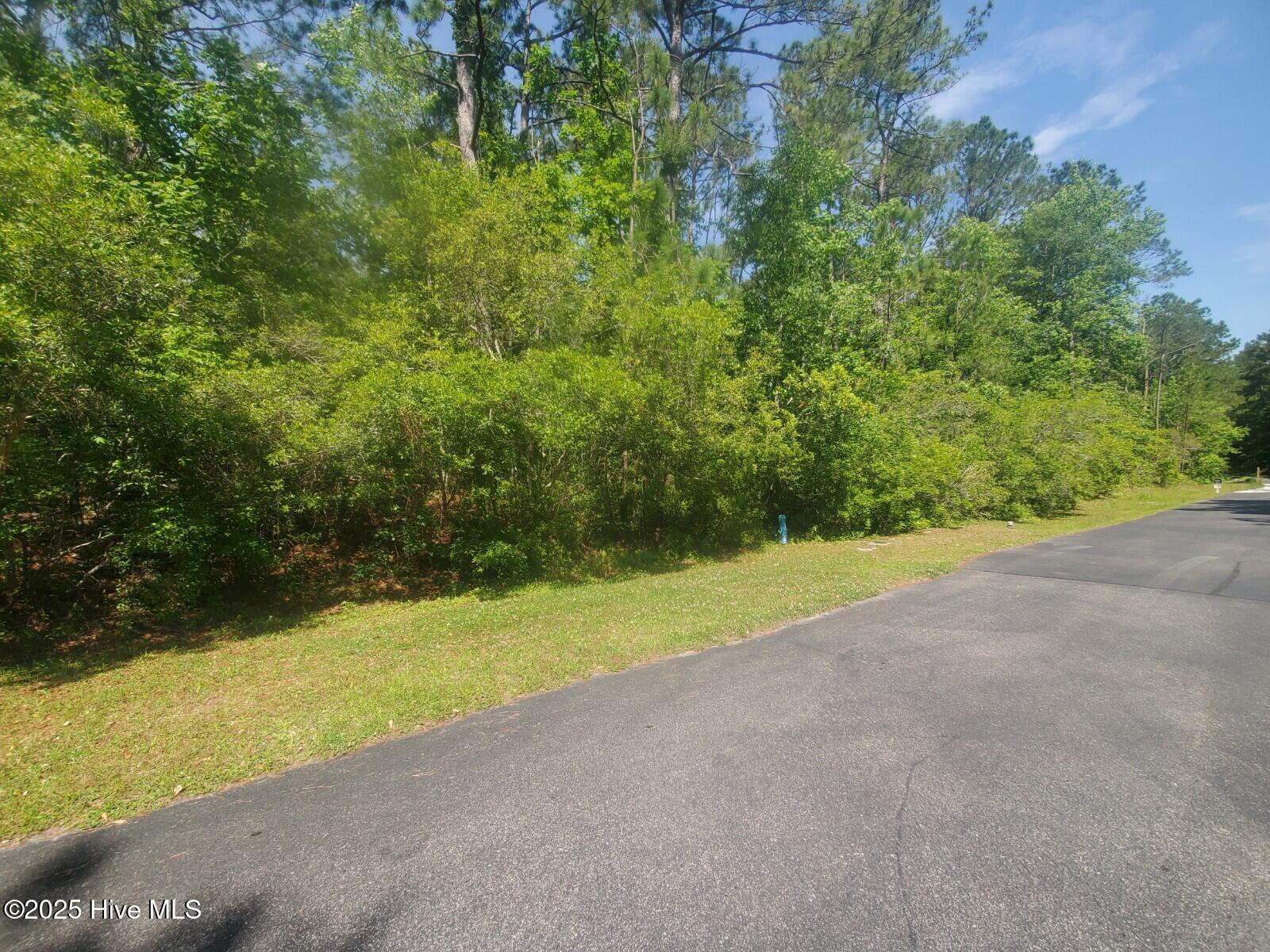 0 Jerome Court Property Photo 1