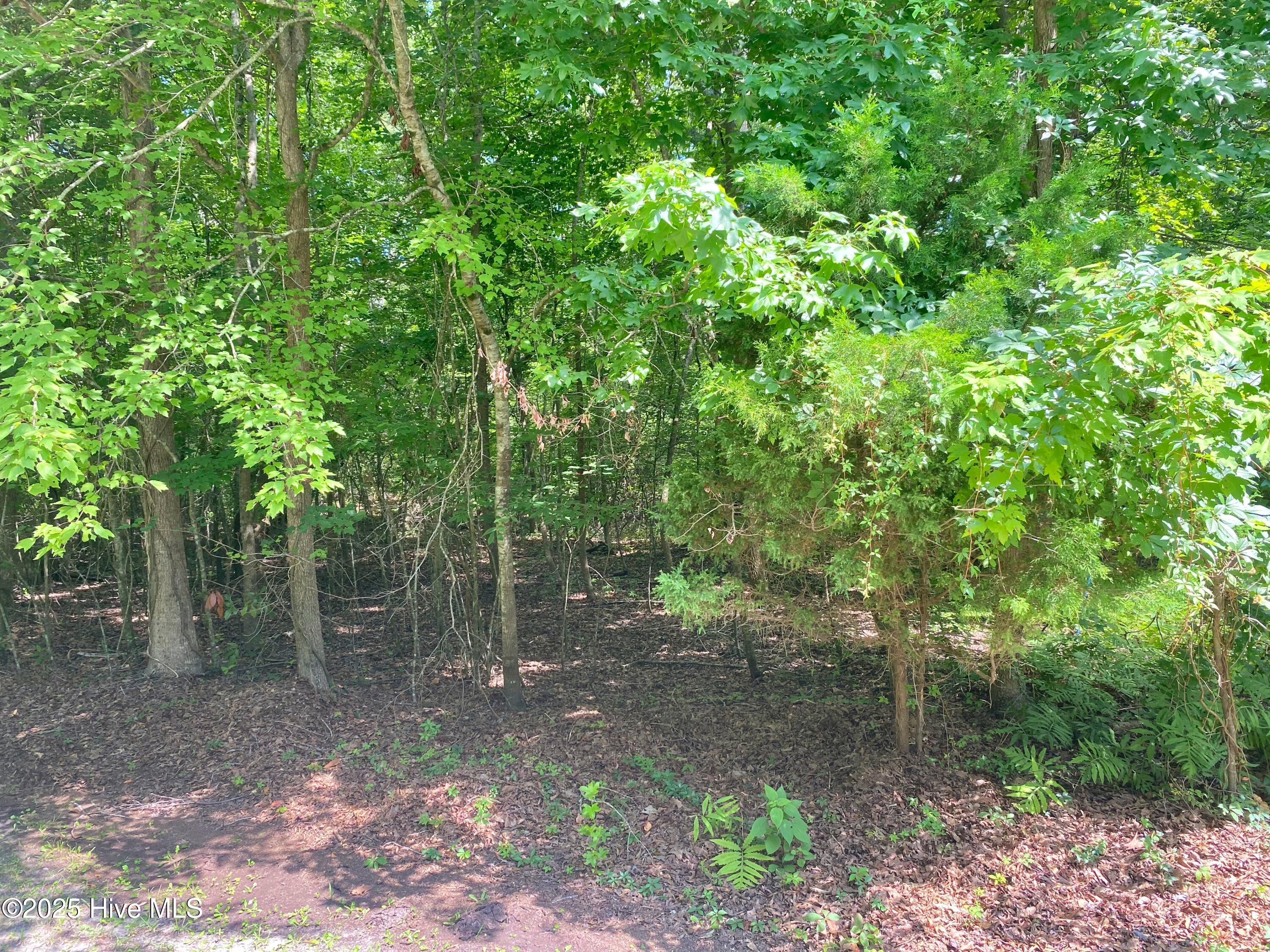 490 N North Phillips Avenue Property Photo 7