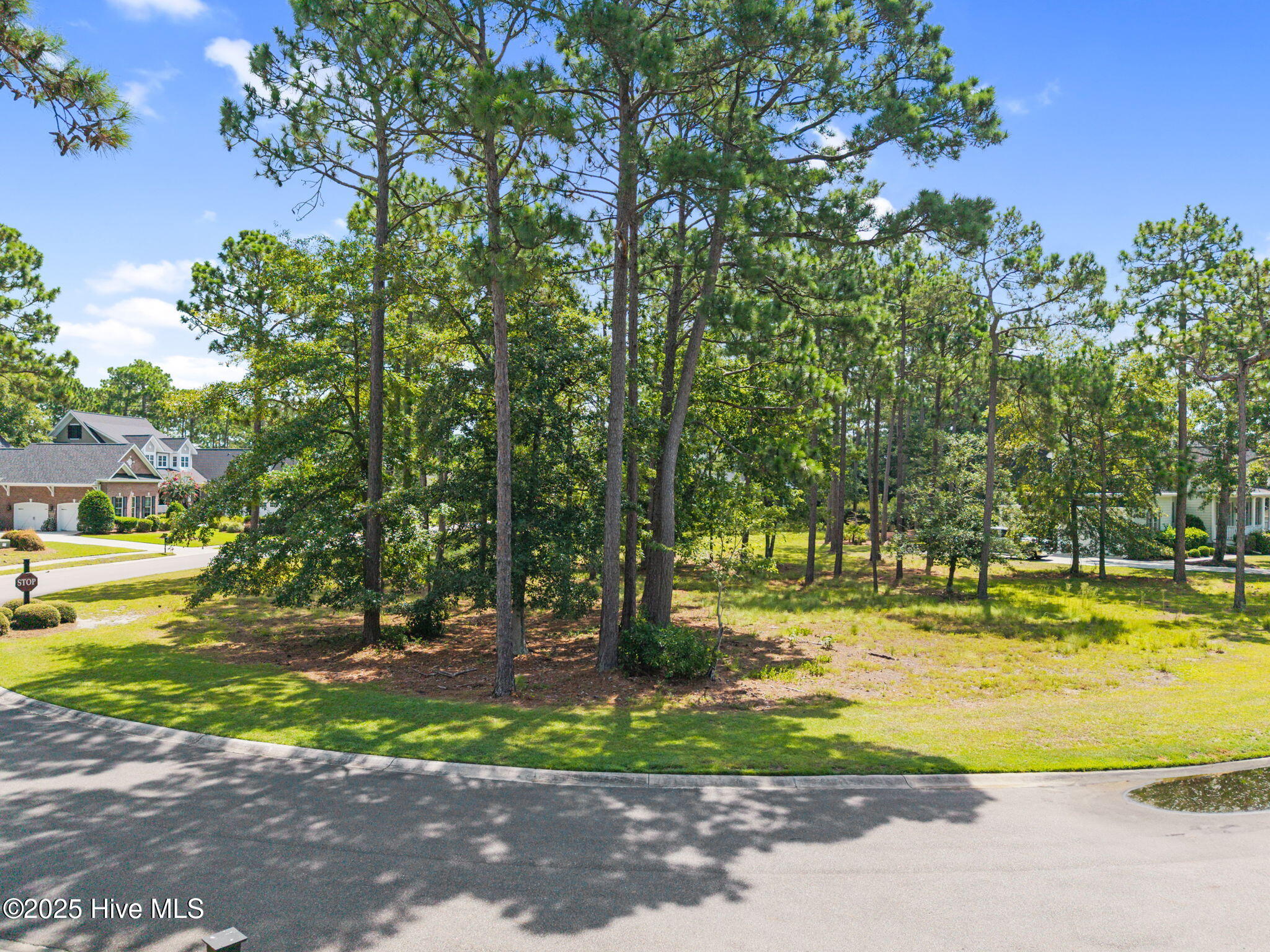 484 Emerald Valley Drive Property Photo 3