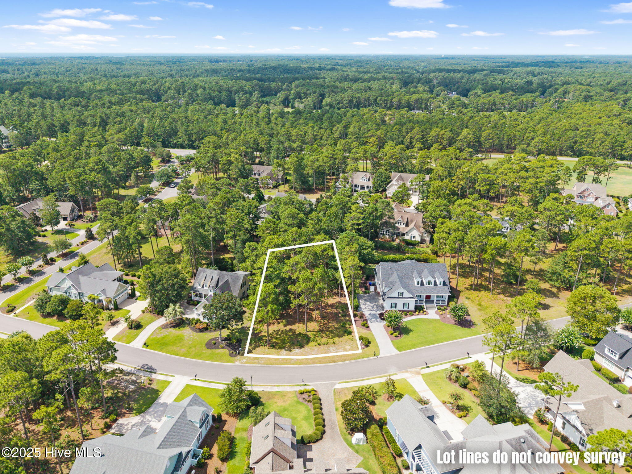 491 Laurel Valley Drive Property Photo 4