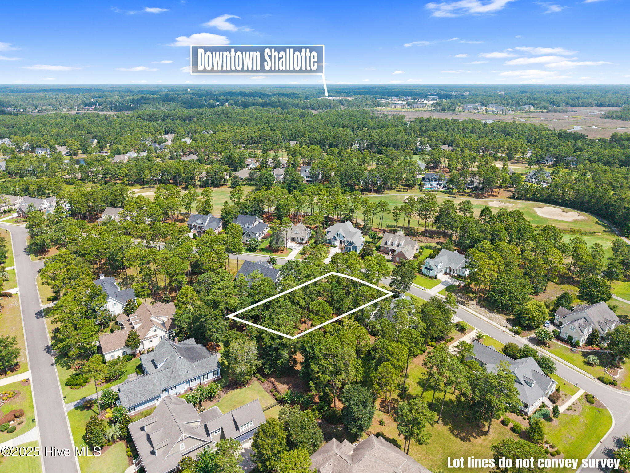 491 Laurel Valley Drive Property Photo 12