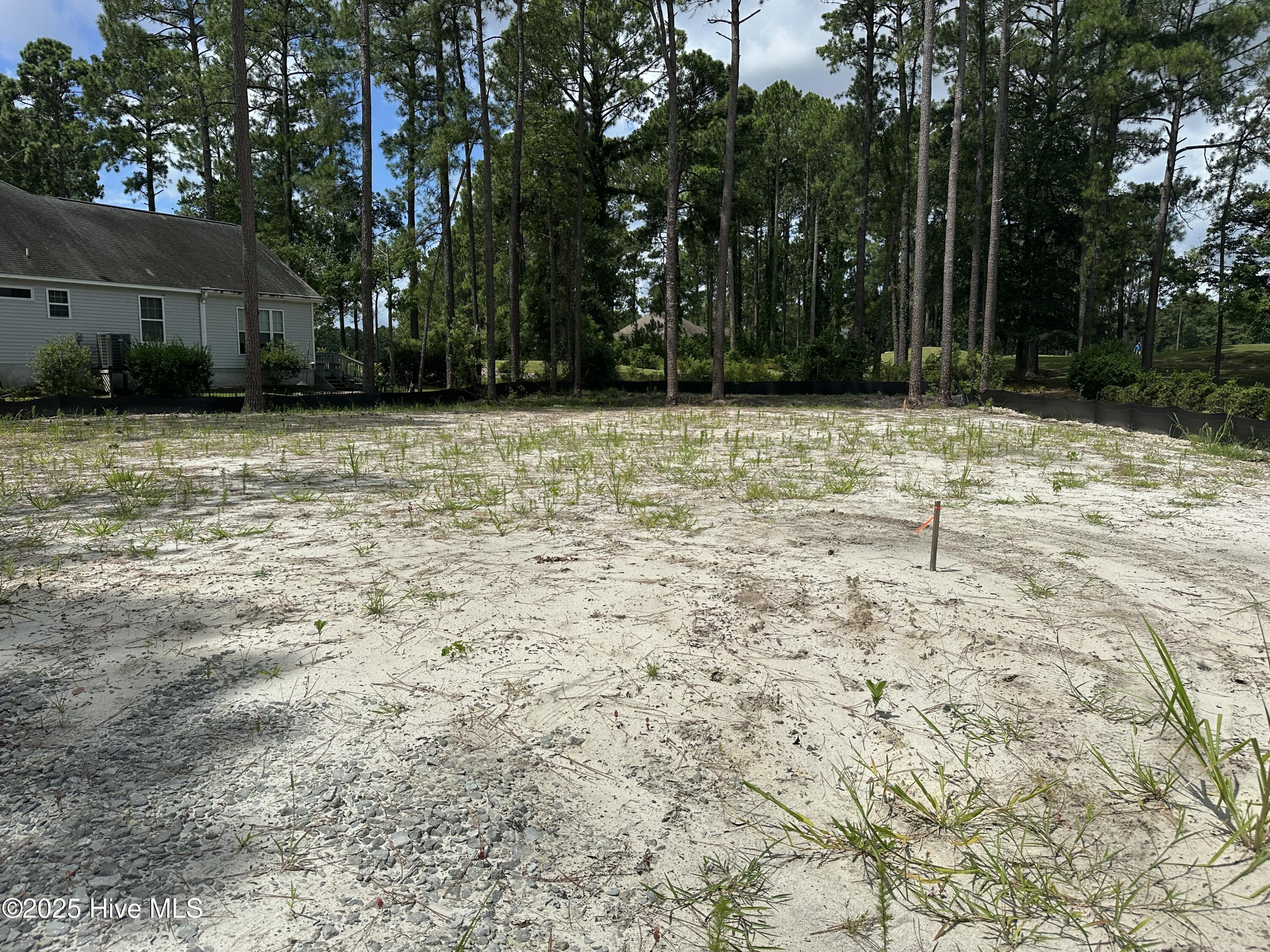 2072 Royal Pines Drive Property Photo 3