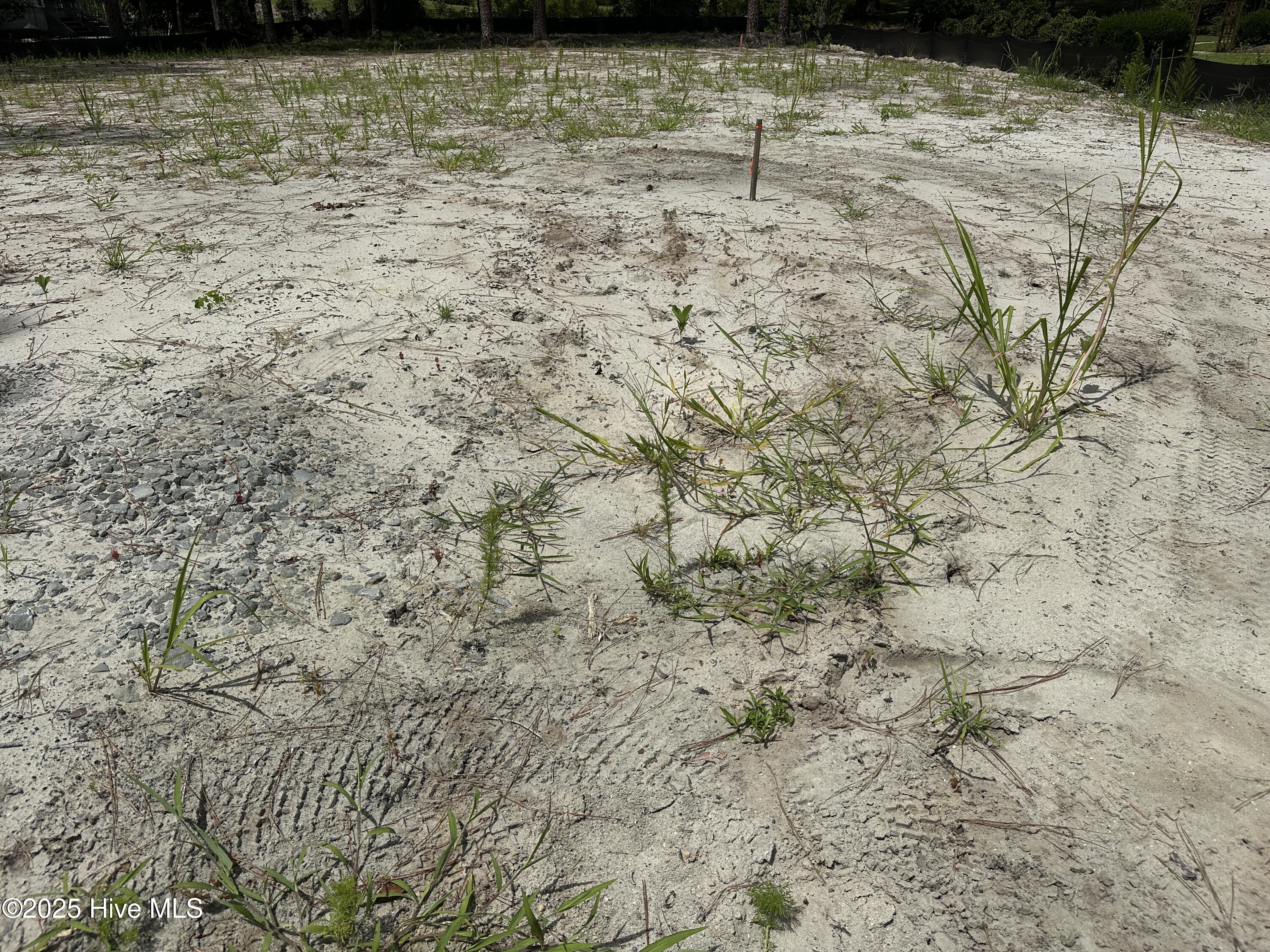 2072 Royal Pines Drive Property Photo 4