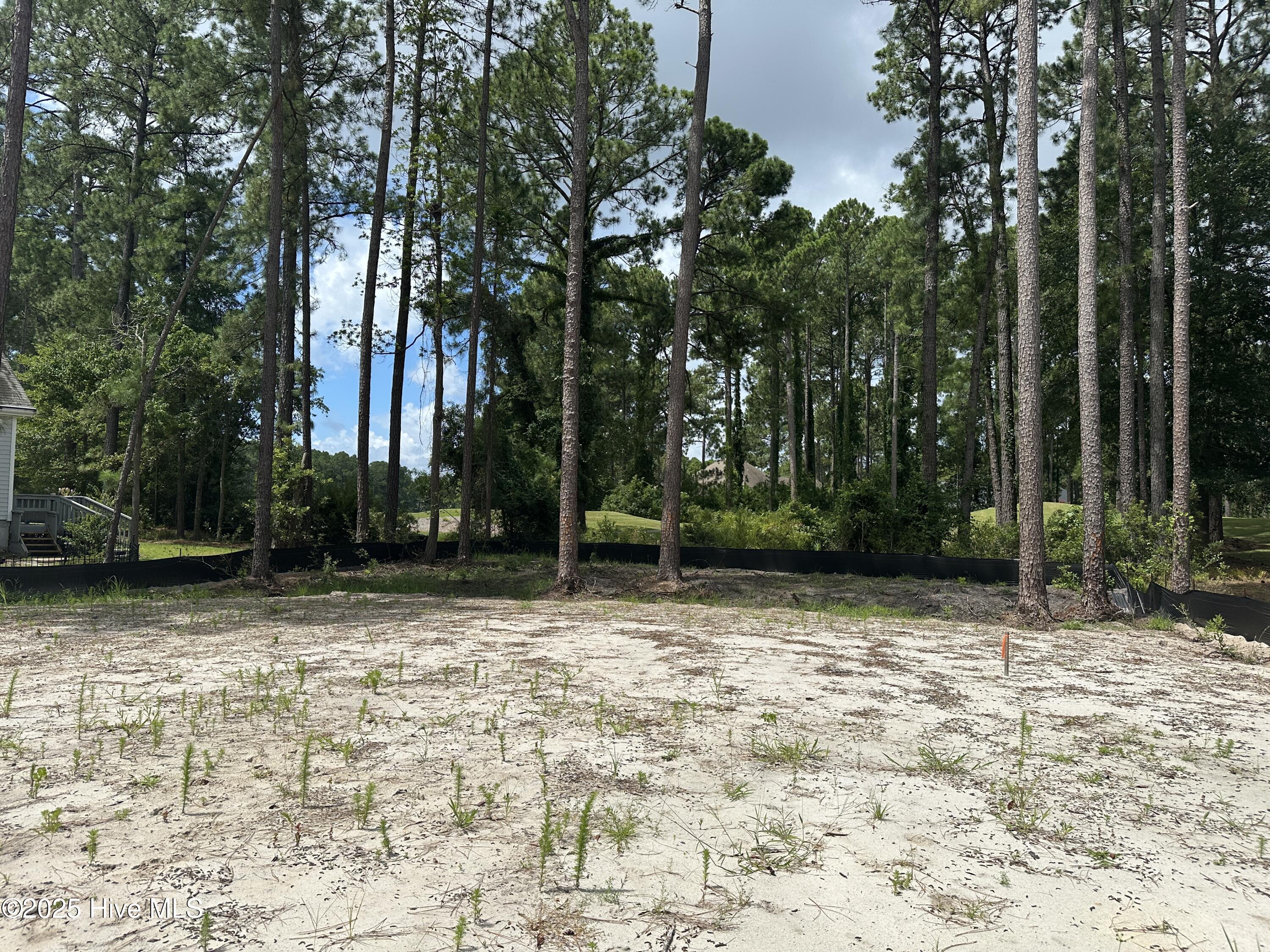 2072 Royal Pines Drive Property Photo 5