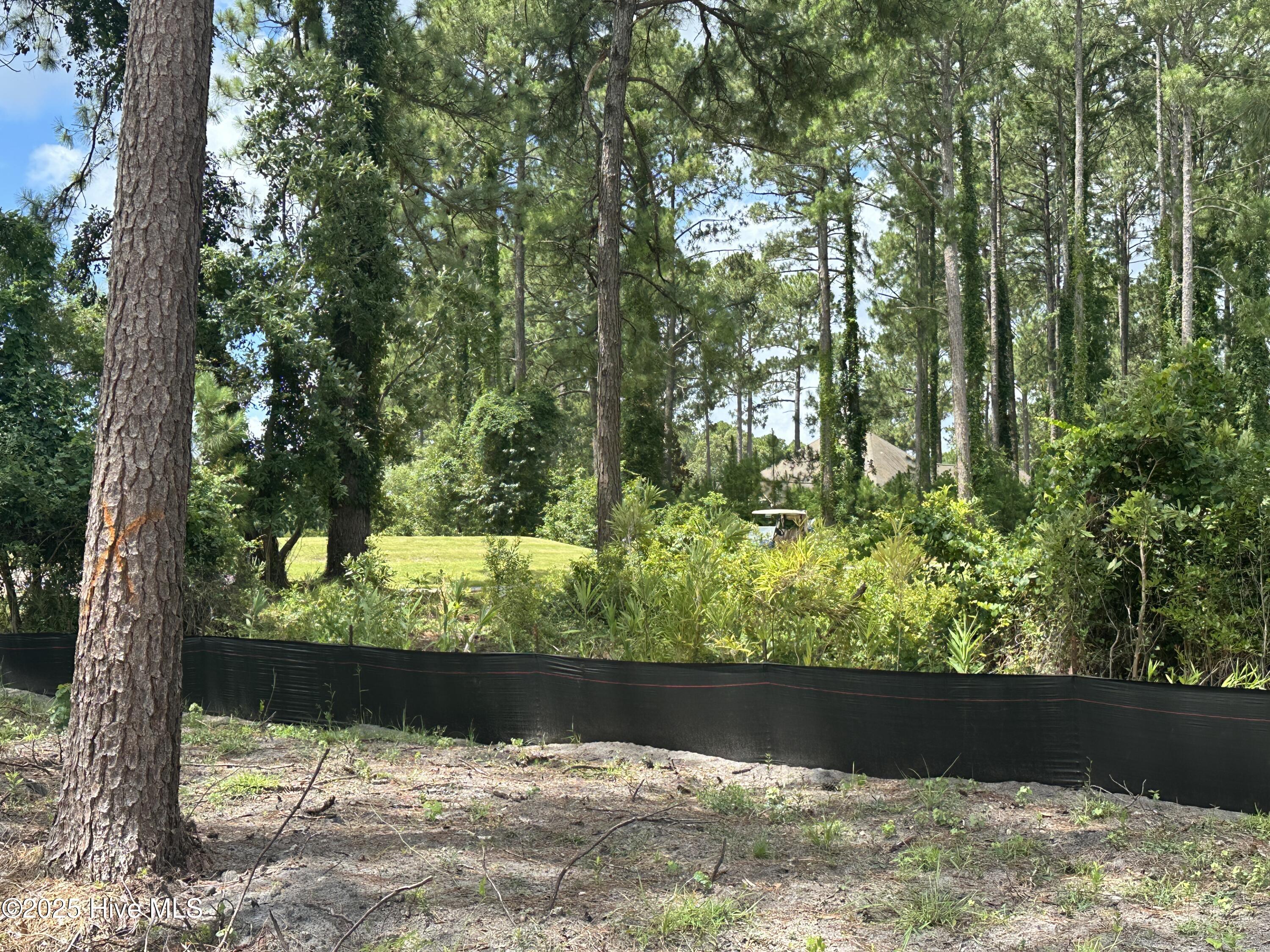2072 Royal Pines Drive Property Photo 6