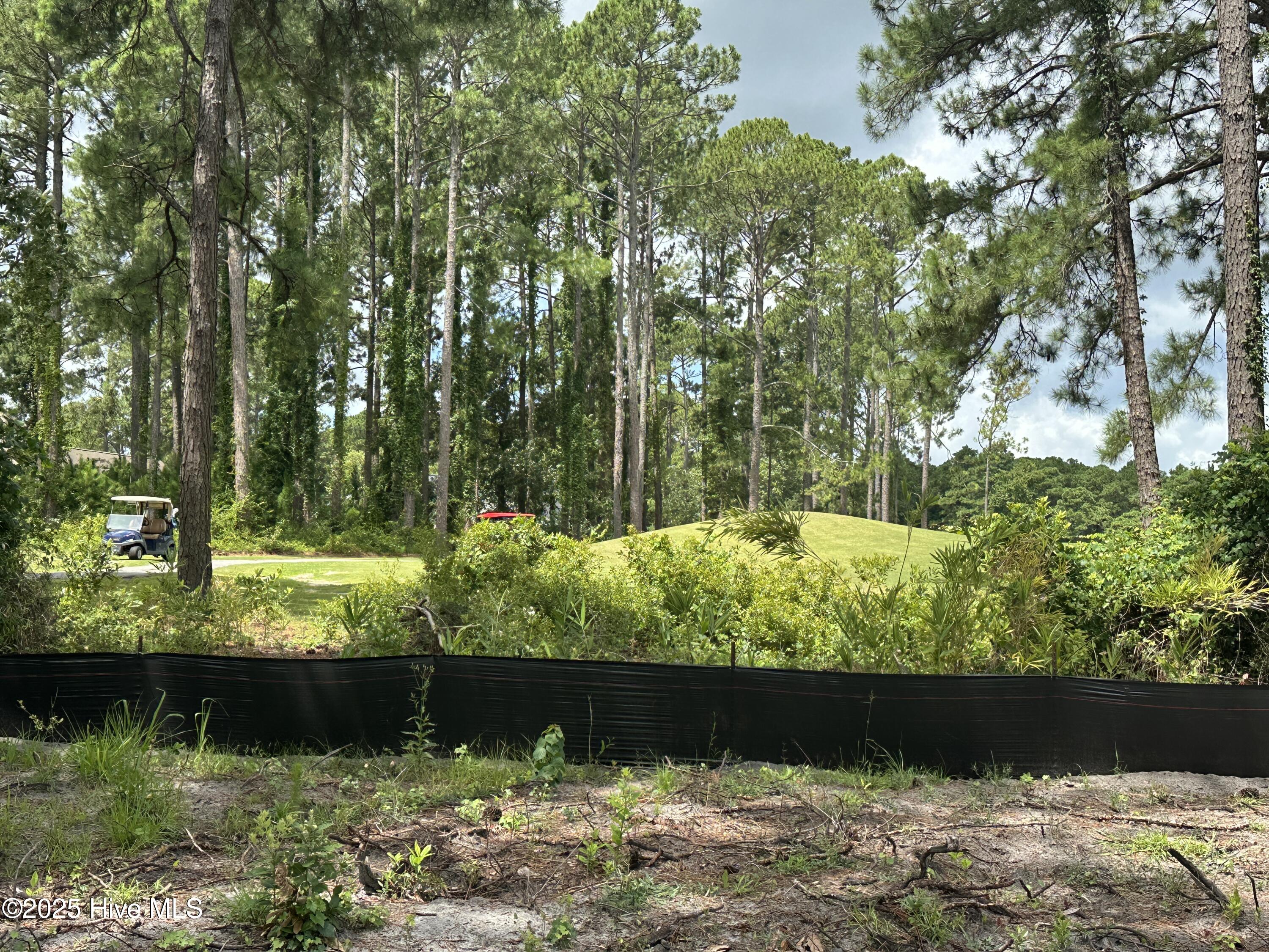 2072 Royal Pines Drive Property Photo 7