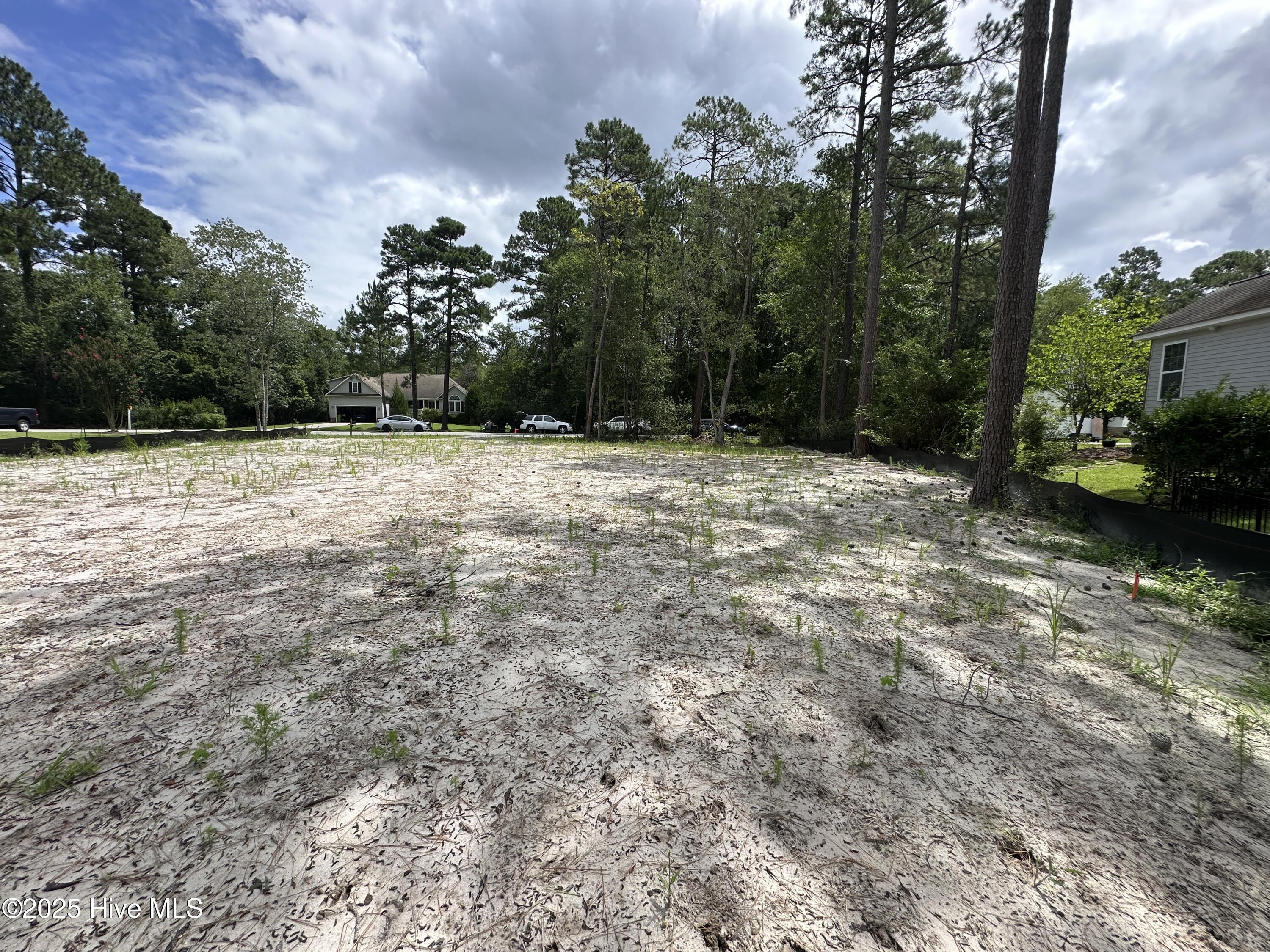 2072 Royal Pines Drive Property Photo 9