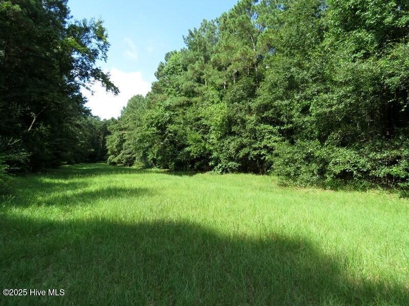 7521 Old Bear Road Property Photo 23