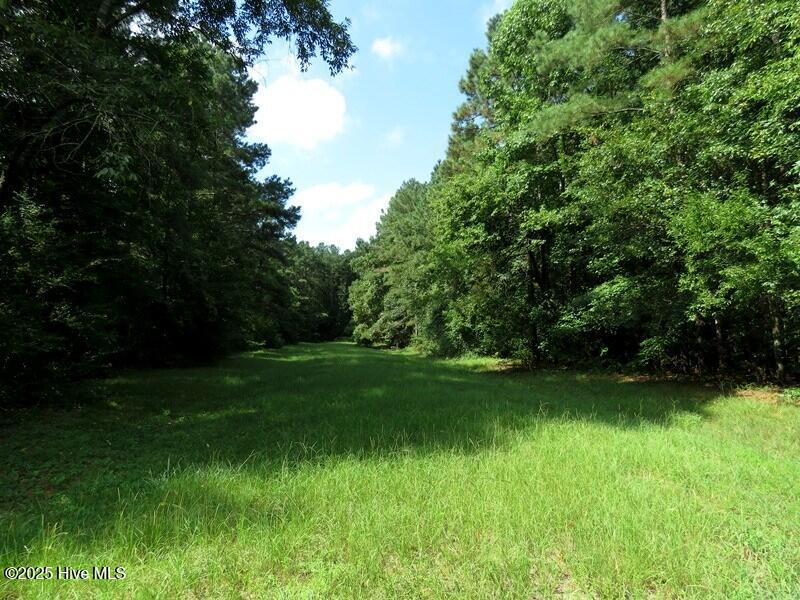 7521 Old Bear Road Property Photo 24