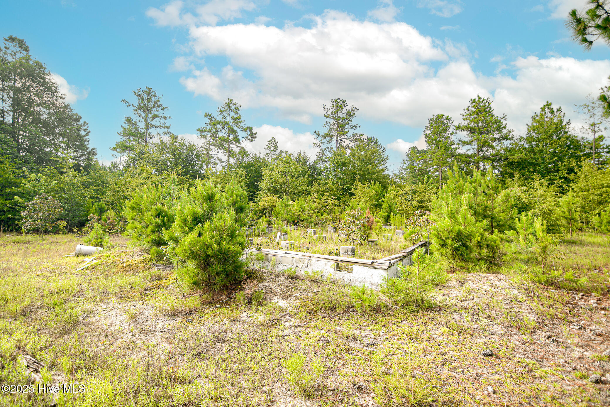 16320 Palmer Road Property Photo 2