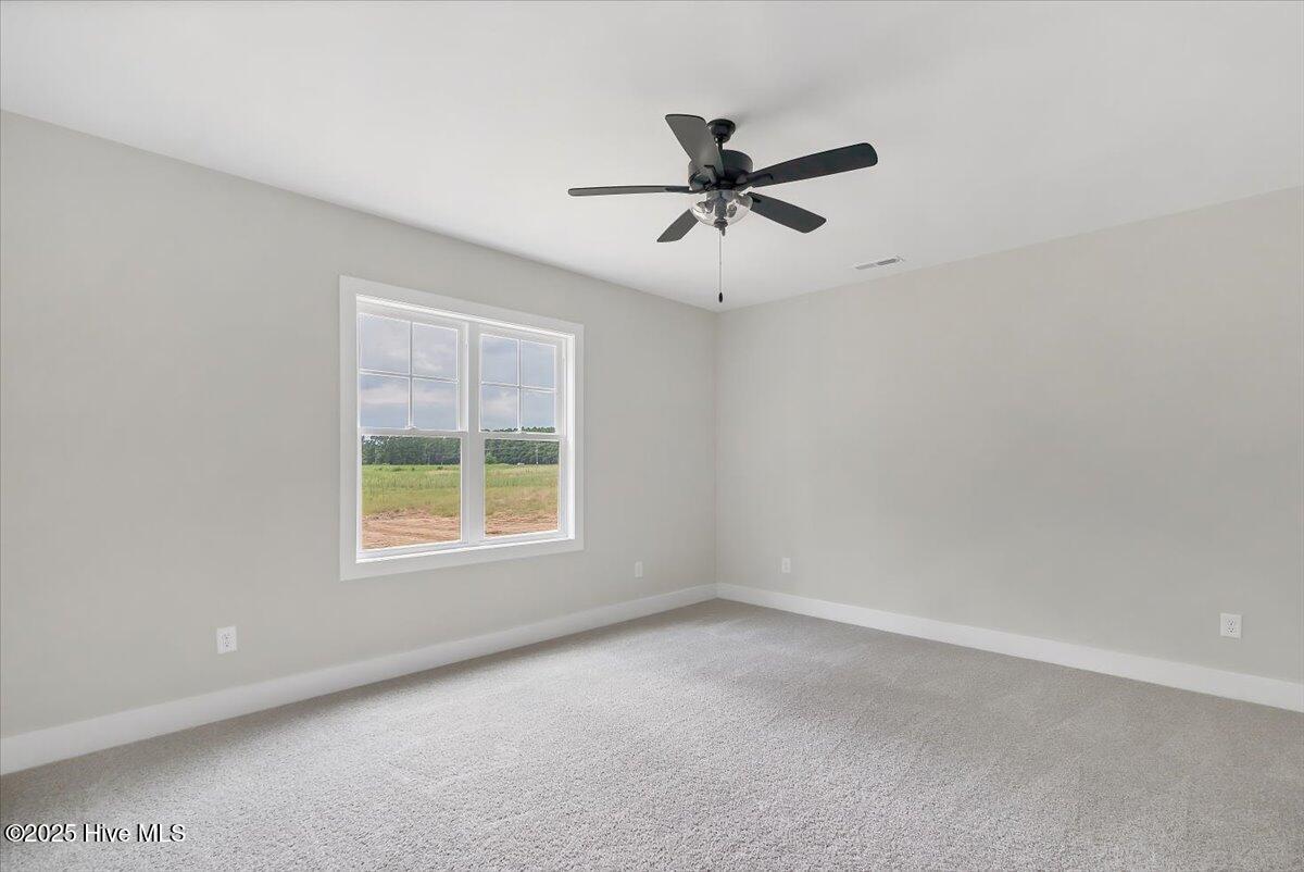 158 Spring Meadows Drive Property Photo 29