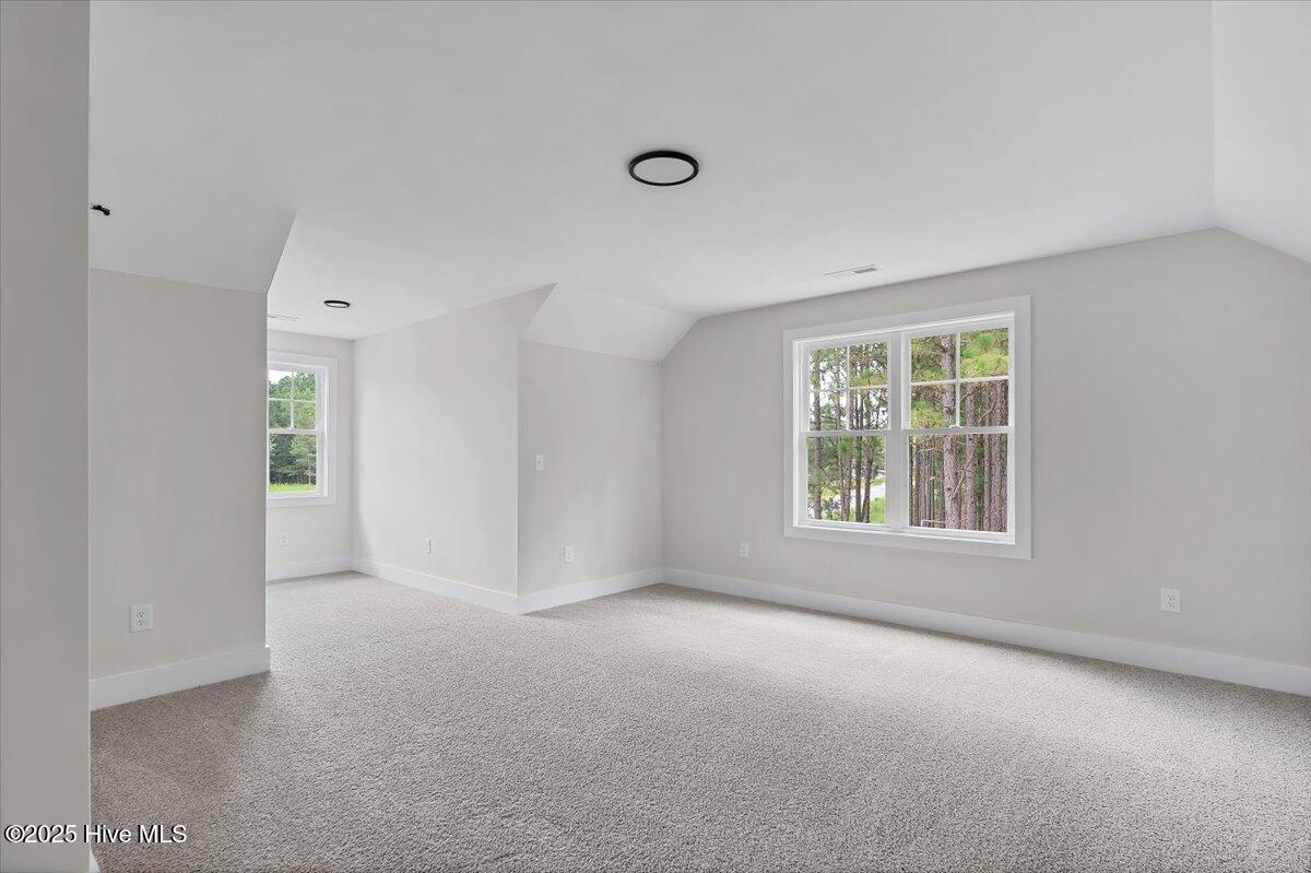 158 Spring Meadows Drive Property Photo 46