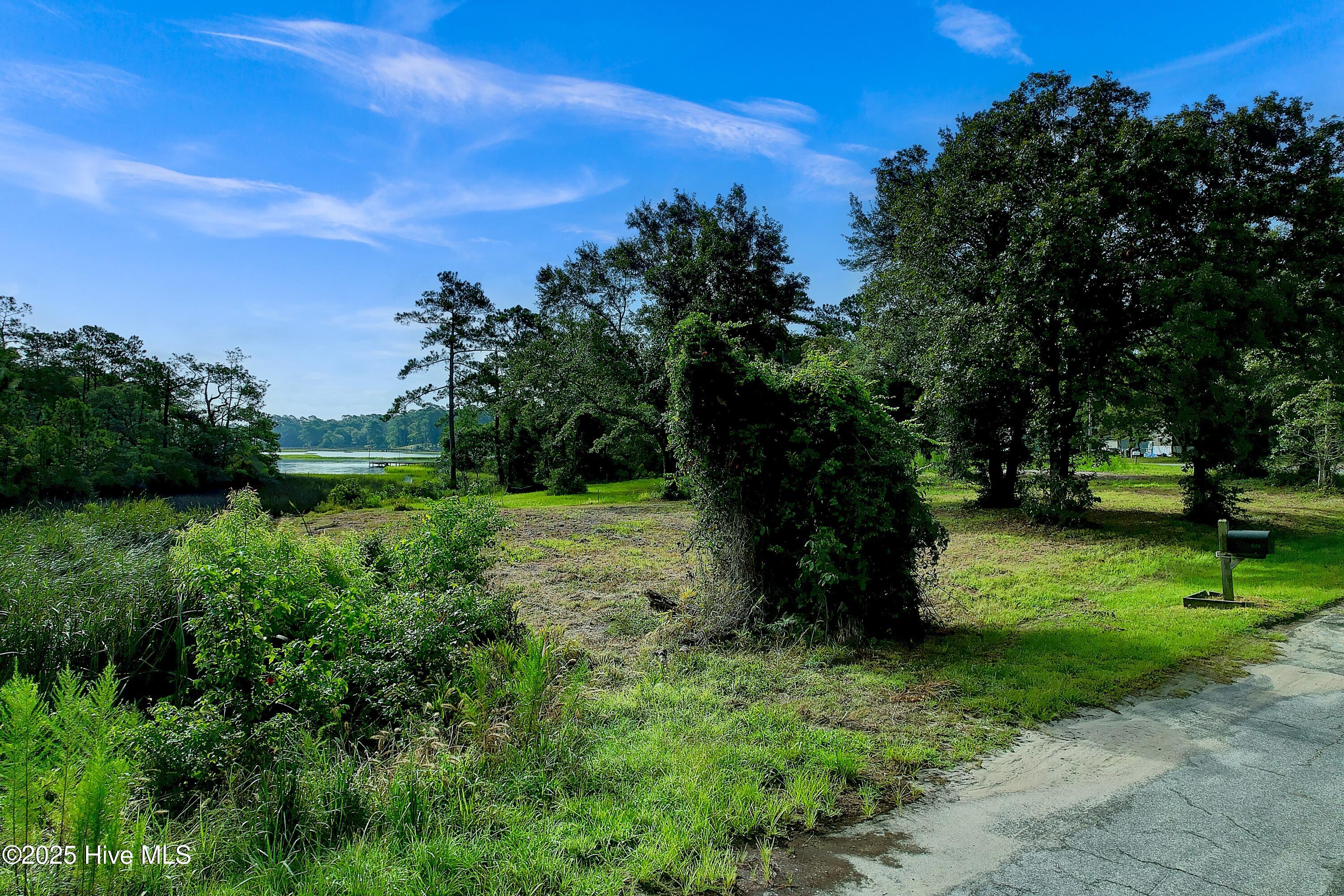 1672 Little Shallotte River Drive Property Photo 1