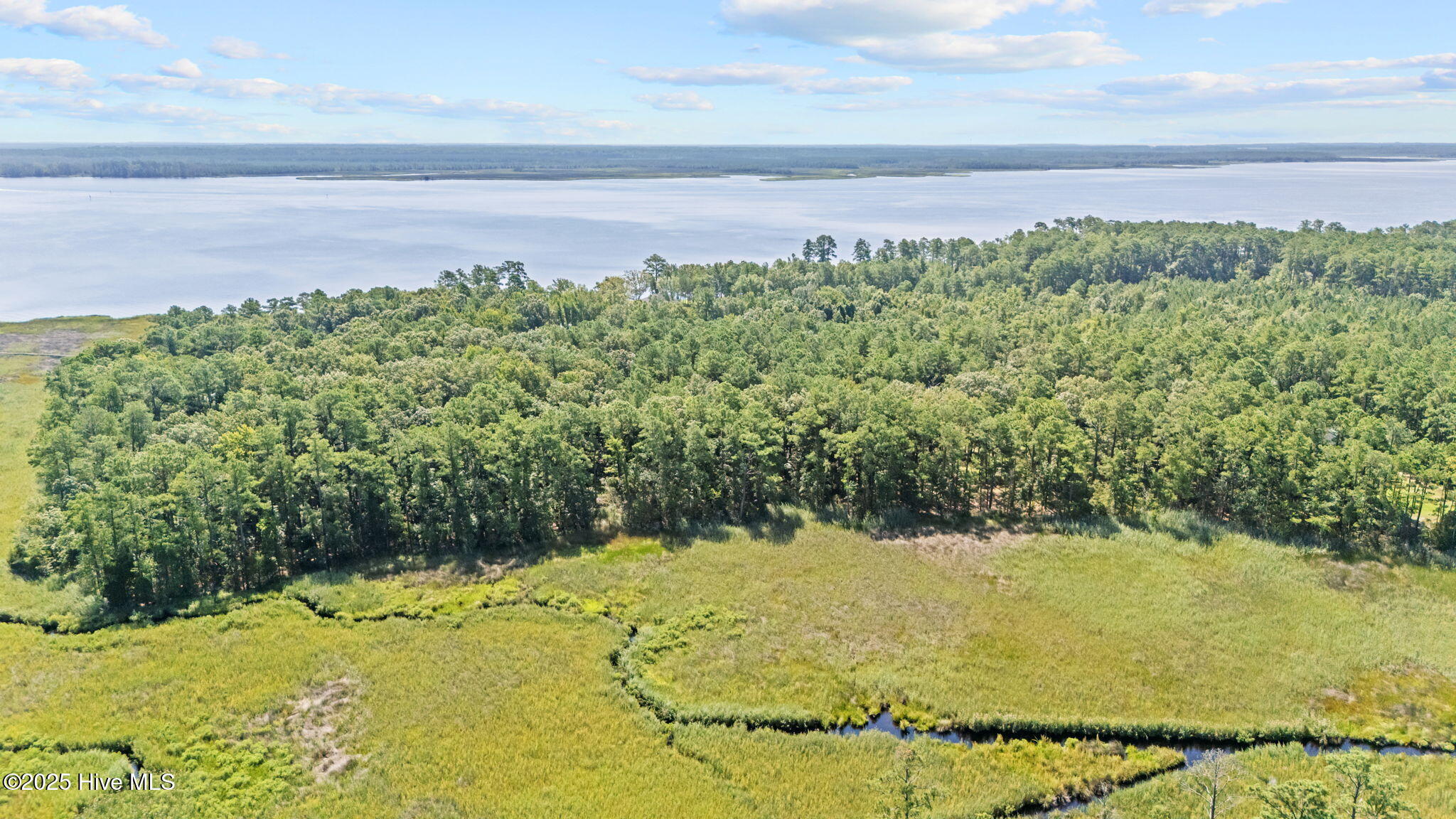 Tbd Batemans Creek Road Property Photo 4