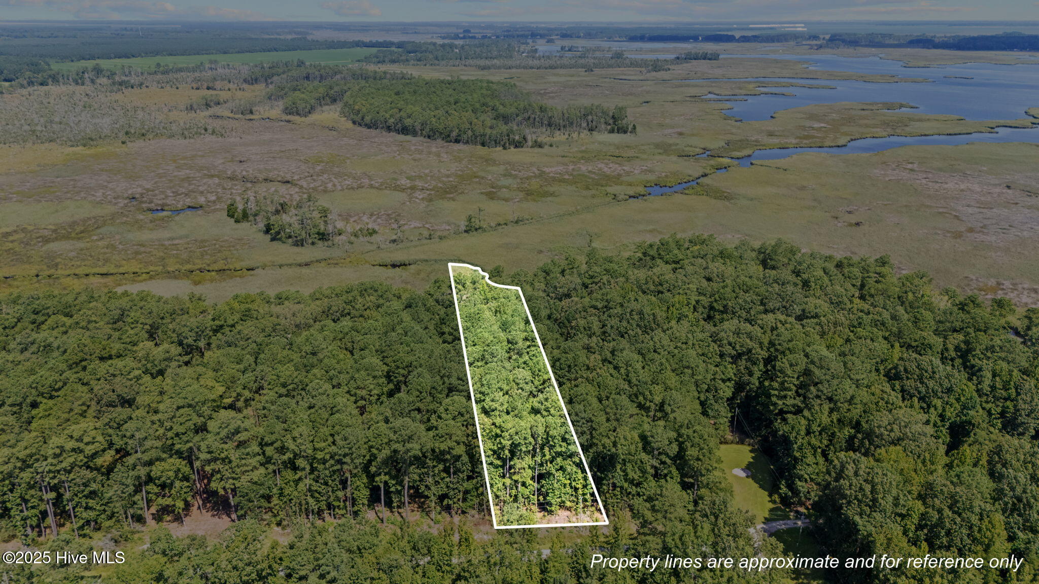 Tbd Batemans Creek Road Property Photo 5