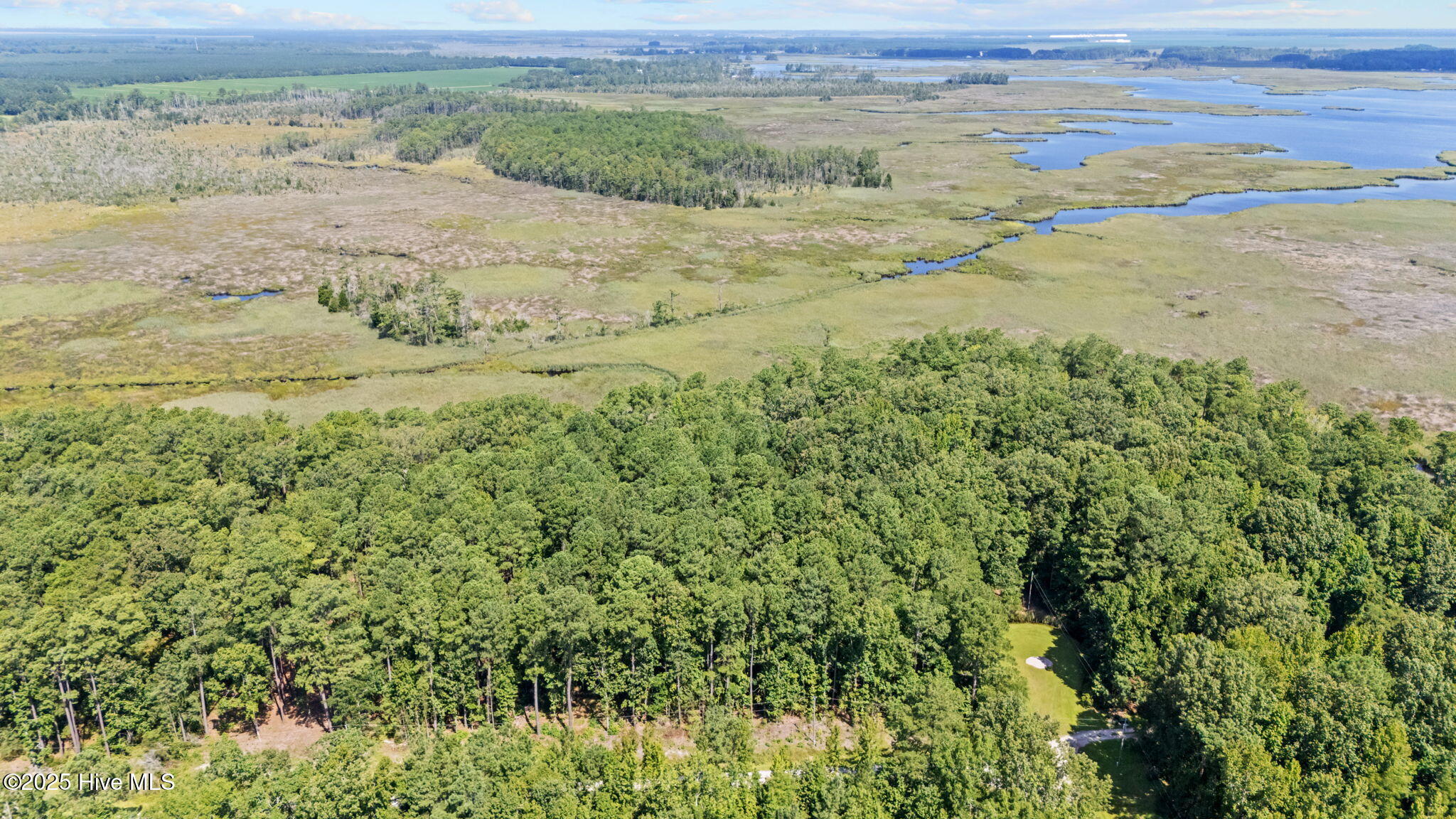 Tbd Batemans Creek Road Property Photo 6
