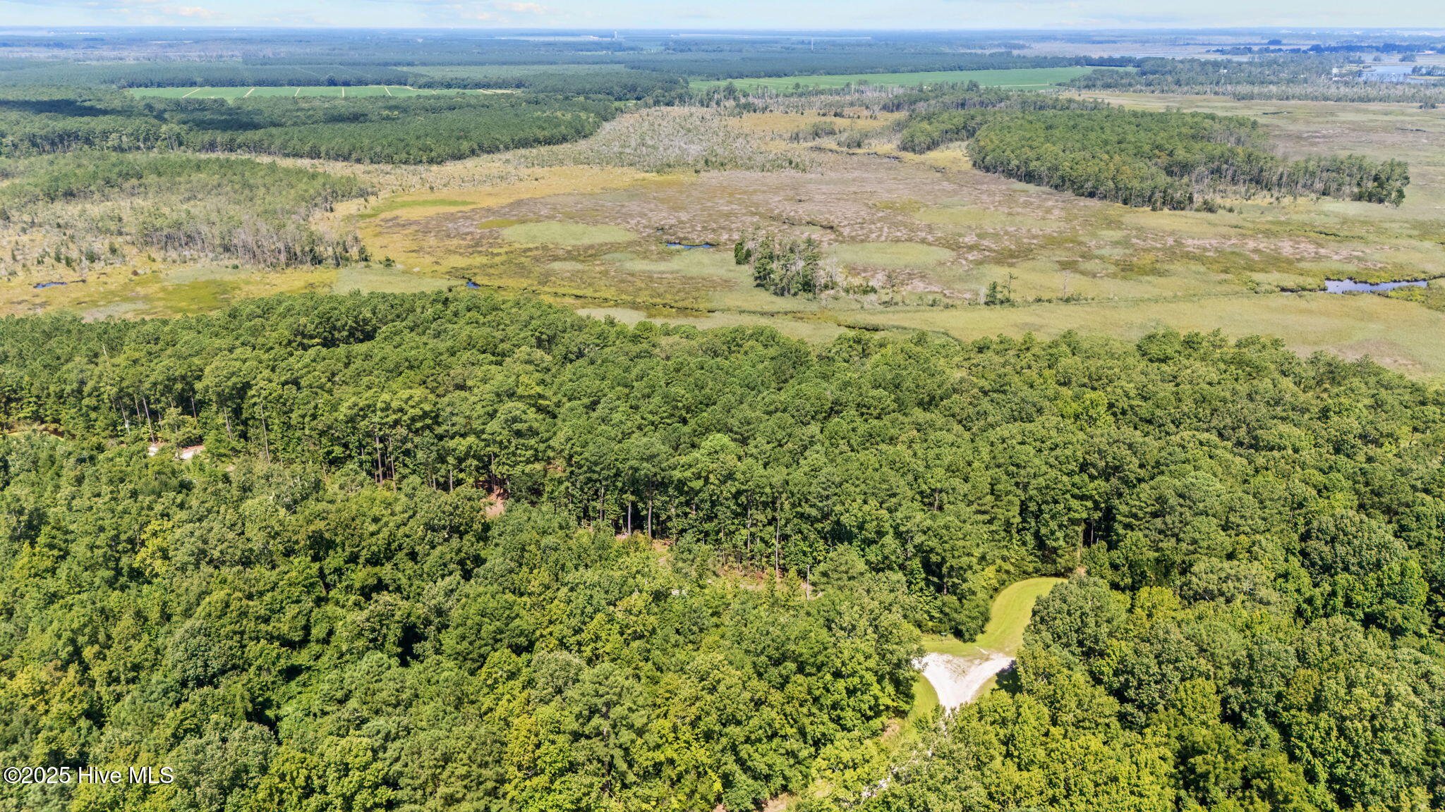 Tbd Batemans Creek Road Property Photo 9