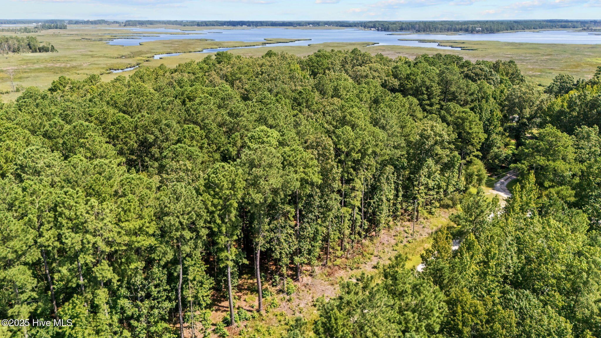 Tbd Batemans Creek Road Property Photo 10