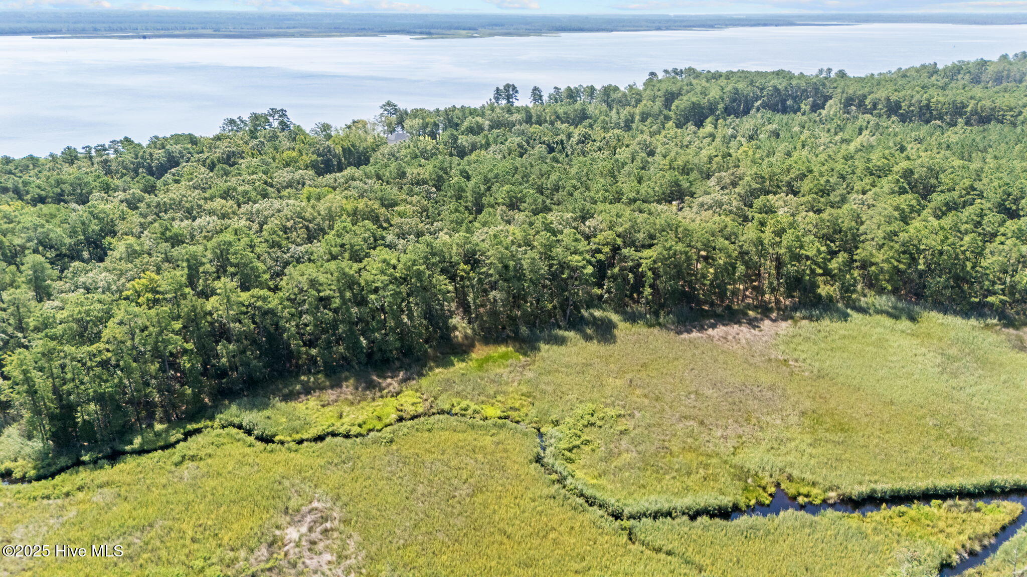 Tbd Batemans Creek Road Property Photo 11