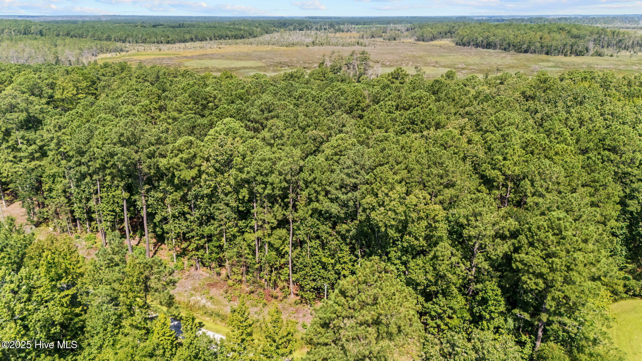 Tbd Batemans Creek Road Property Photo 13