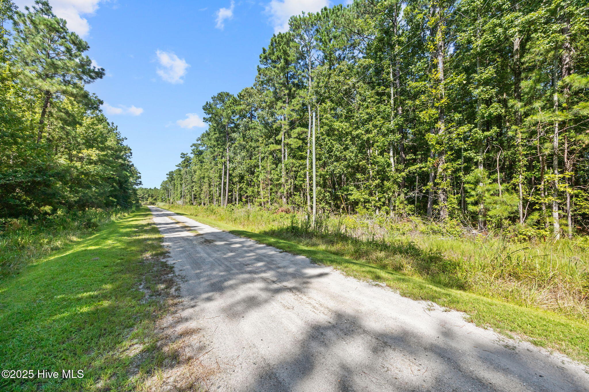 Tbd Batemans Creek Road Property Photo 14