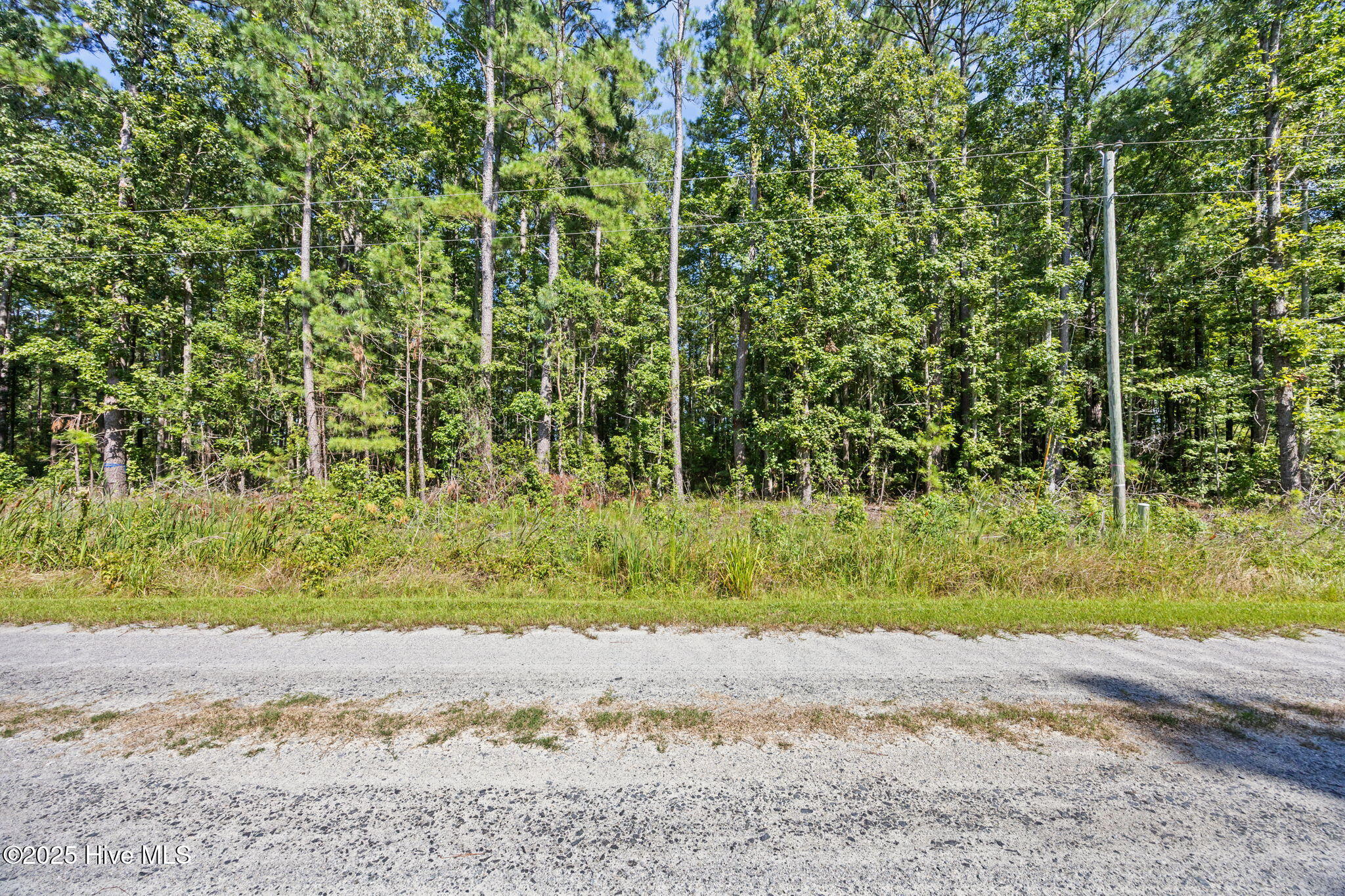 Tbd Batemans Creek Road Property Photo 15