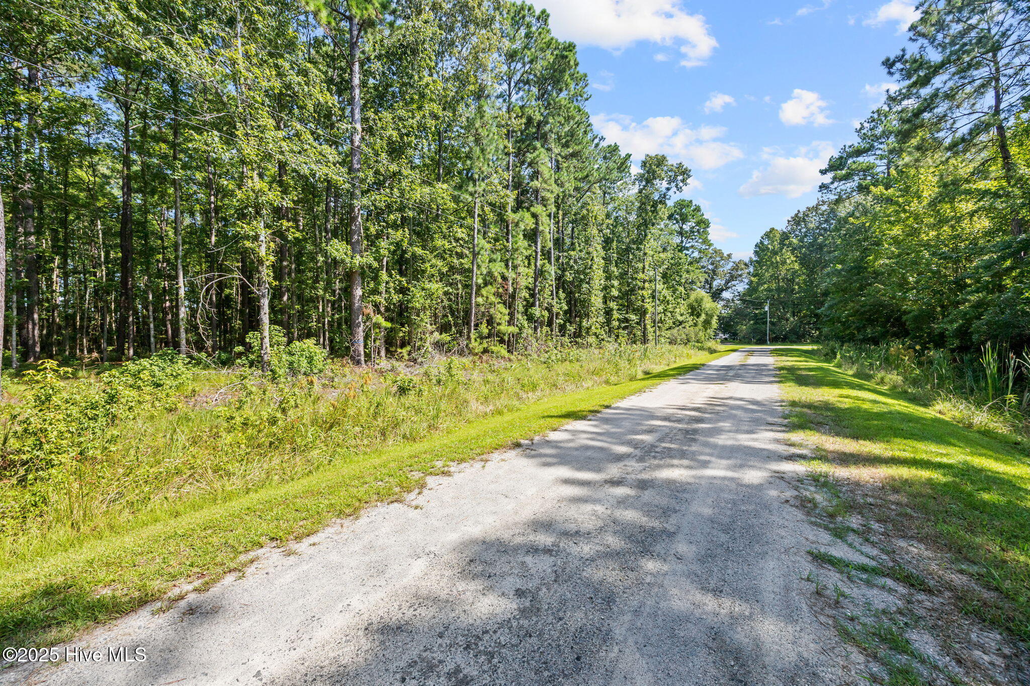 Tbd Batemans Creek Road Property Photo 16