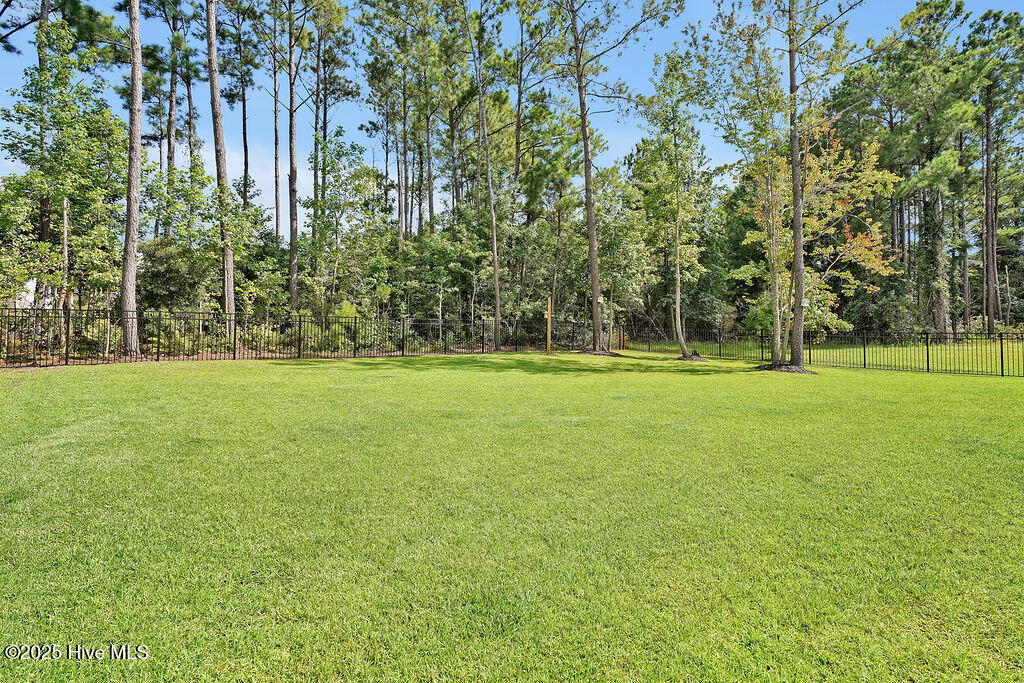 121 Summerset Landing Property Photo 48