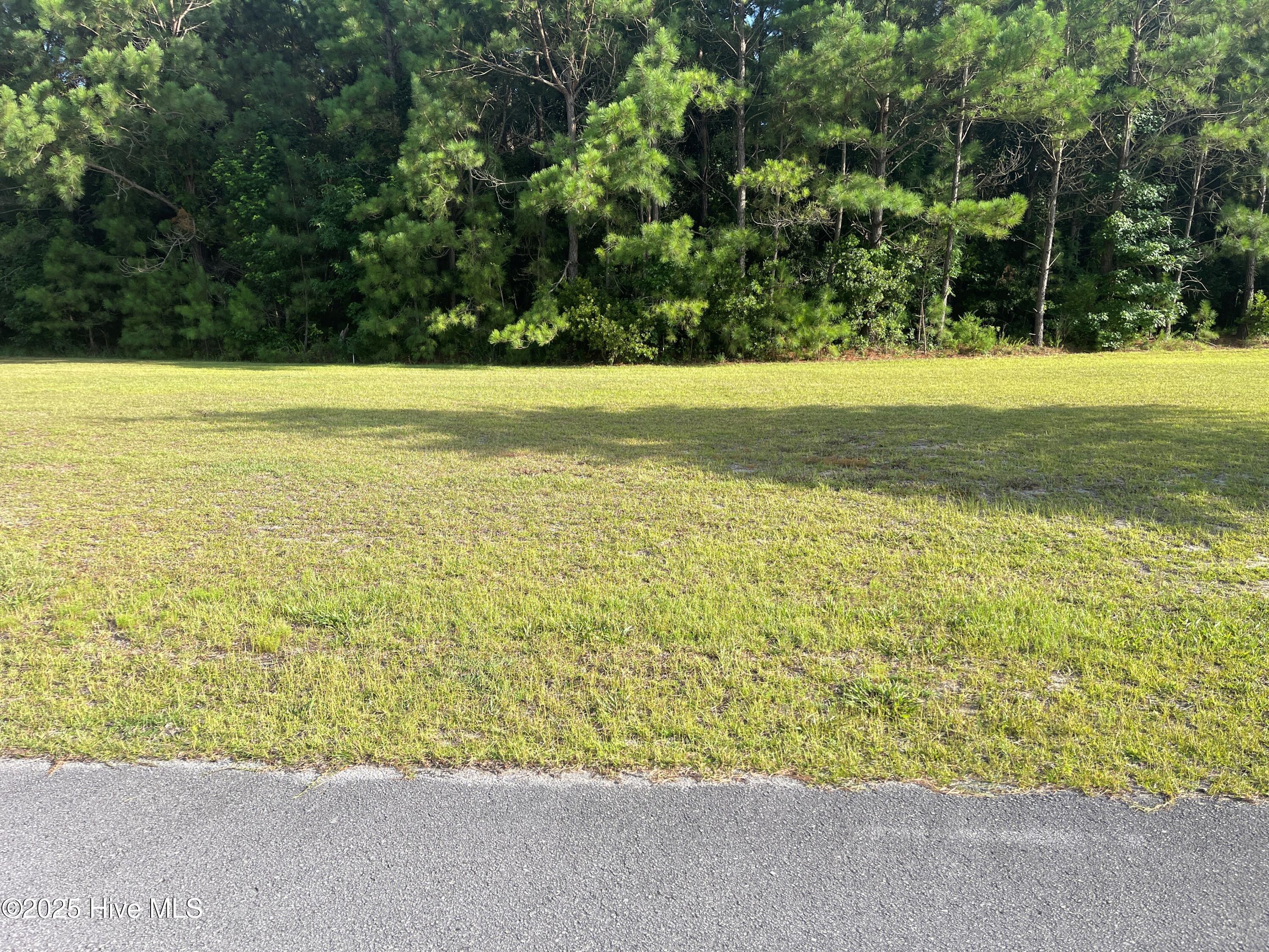 105 Ellery Street Property Photo 1