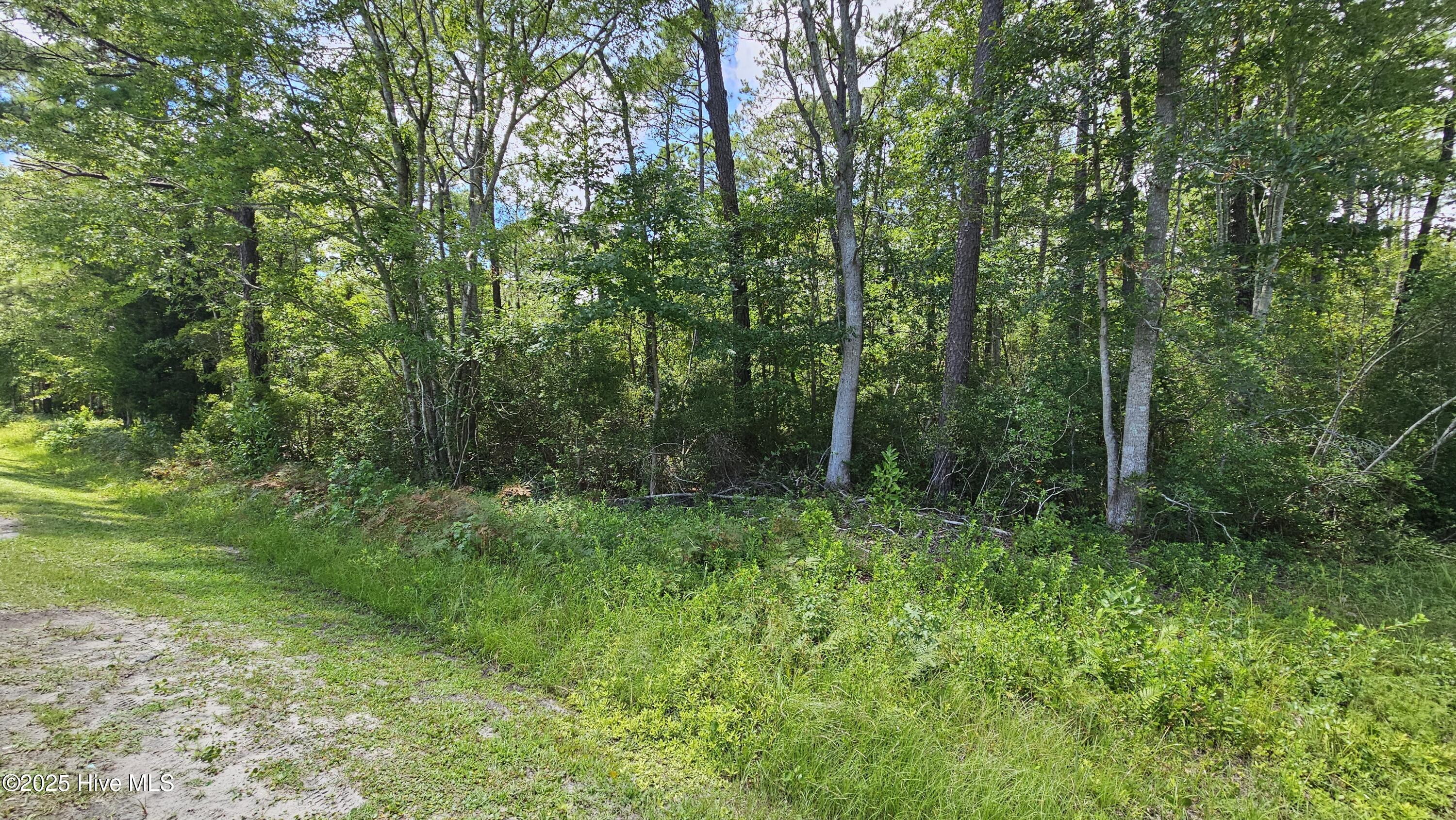 1362 Thomasboro Road Property Photo 1