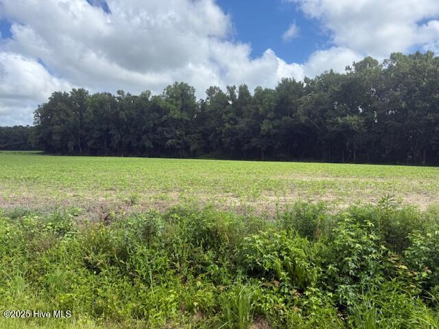 0 Near 403 Flynn Cemet Road Property Photo 1