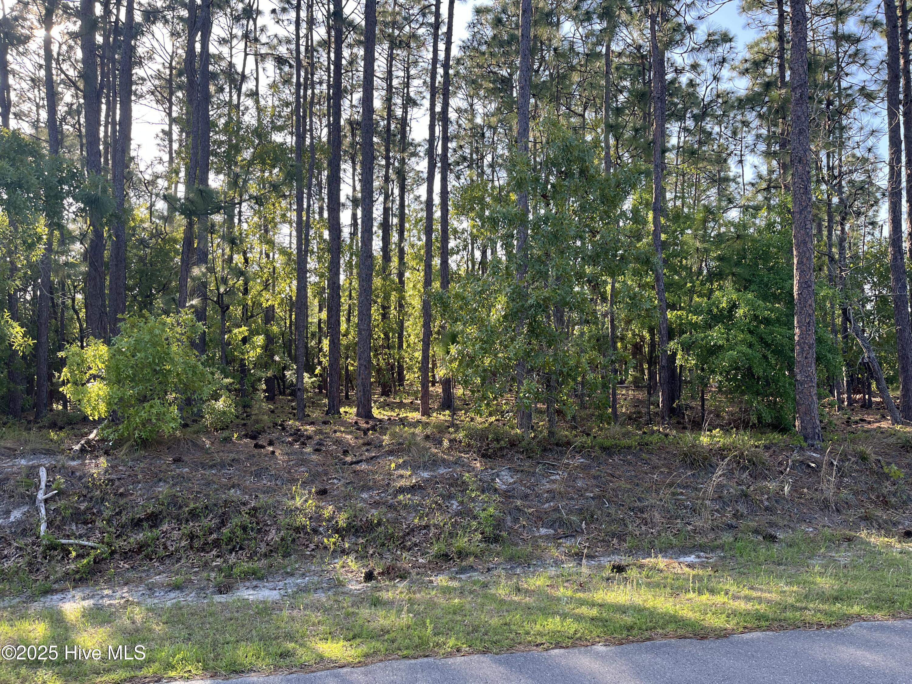 1871 Reidsville Road Property Photo 1