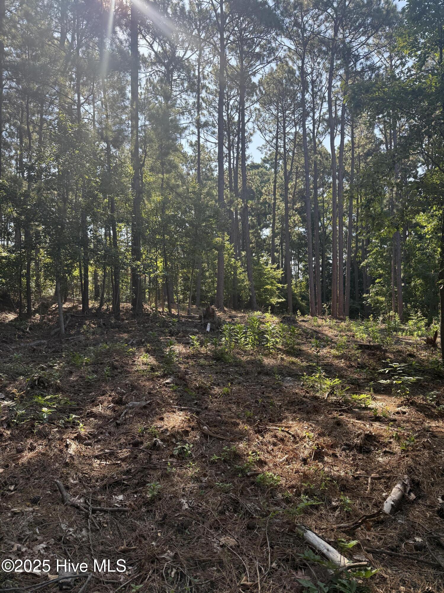 Tbd Stephanie Street Property Photo 2