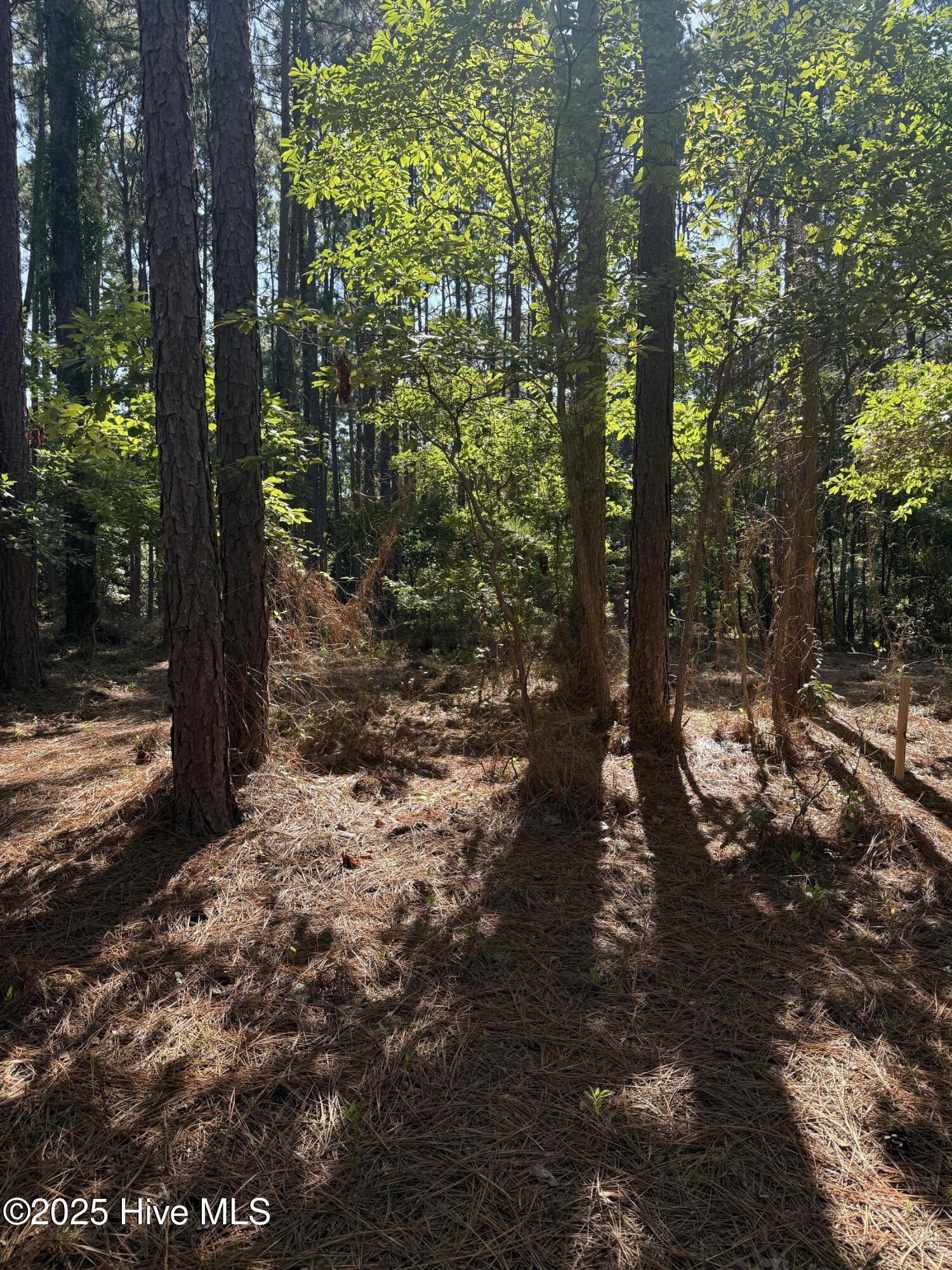 Tbd Stephanie Street Property Photo 8