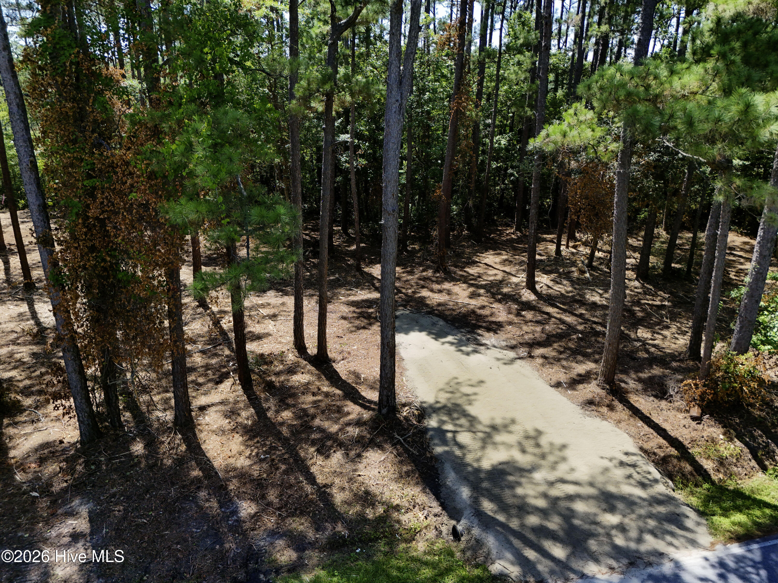 0 Straits Cut-off Road Property Photo 2