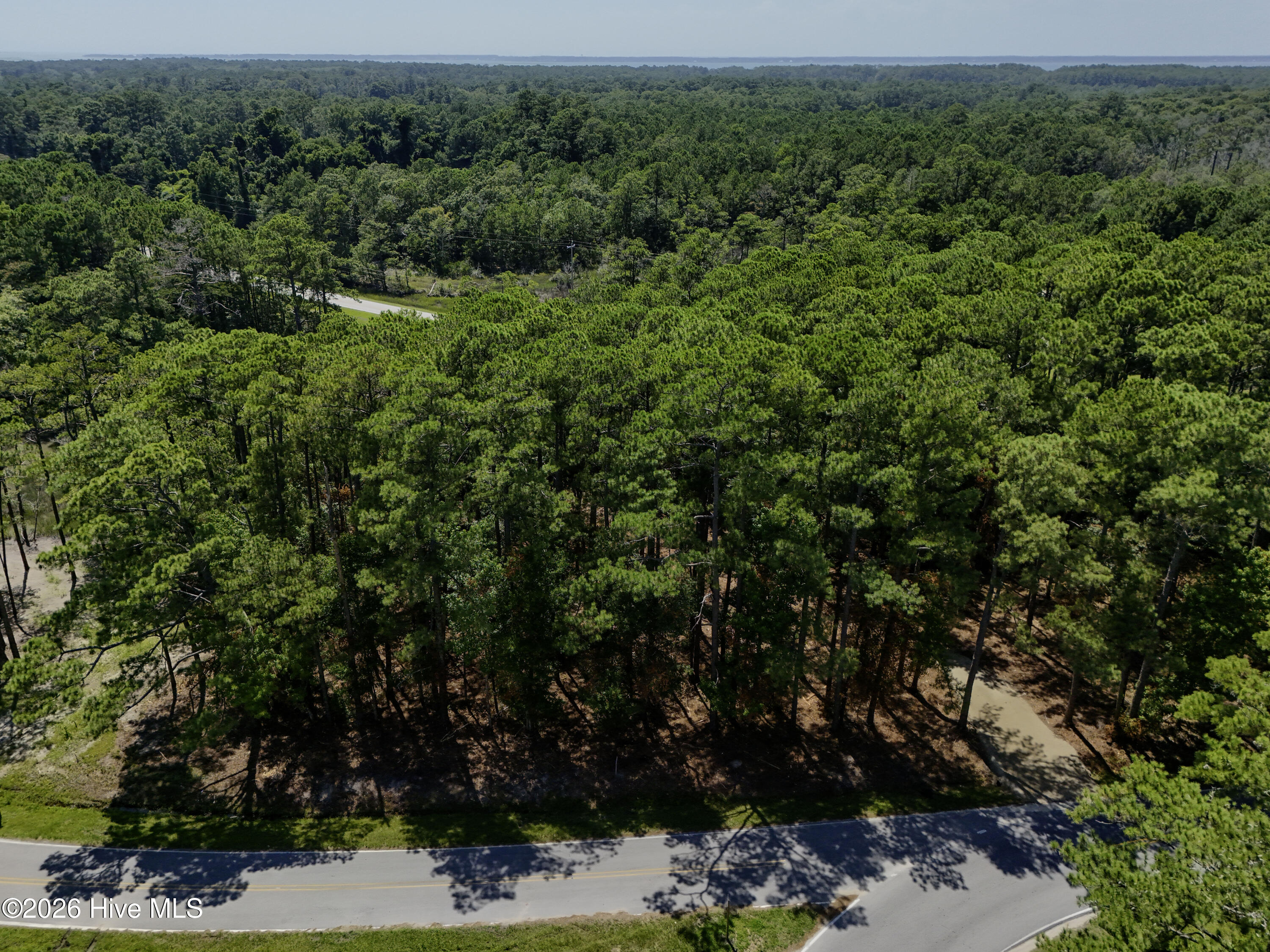 0 Straits Cut-off Road Property Photo 3