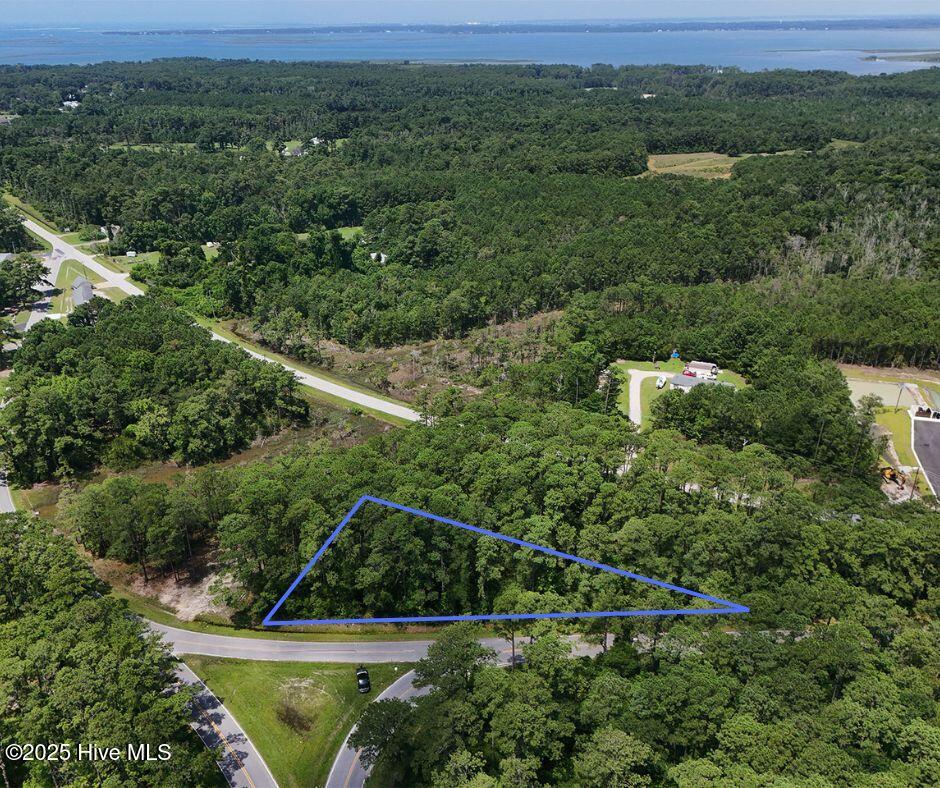 0 Straits Cut-off Road Property Photo 10