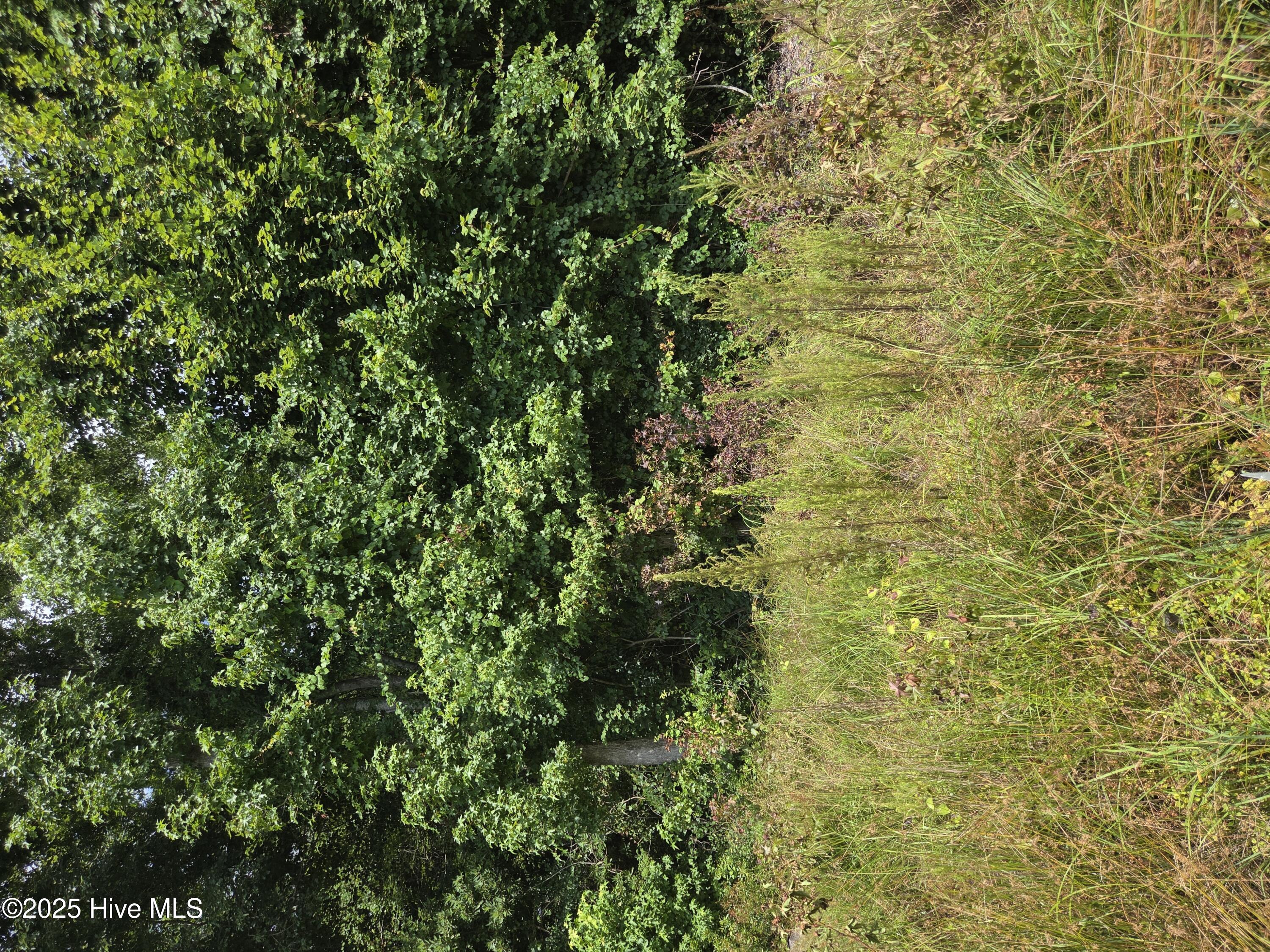 0 Chapman Drive-lots 19 & 20 Drive Property Photo 1