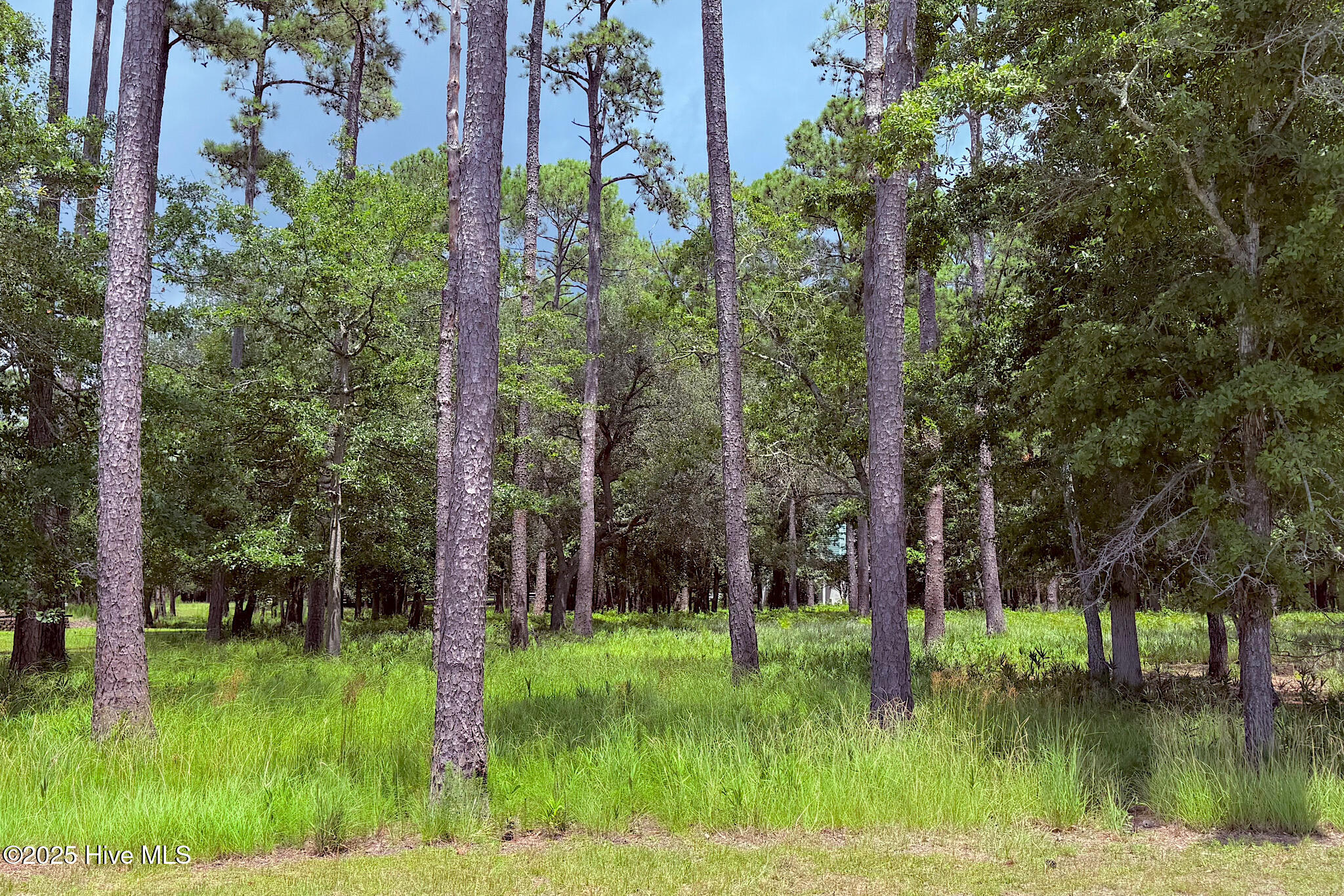 3430 Scupper Run Property Photo 4