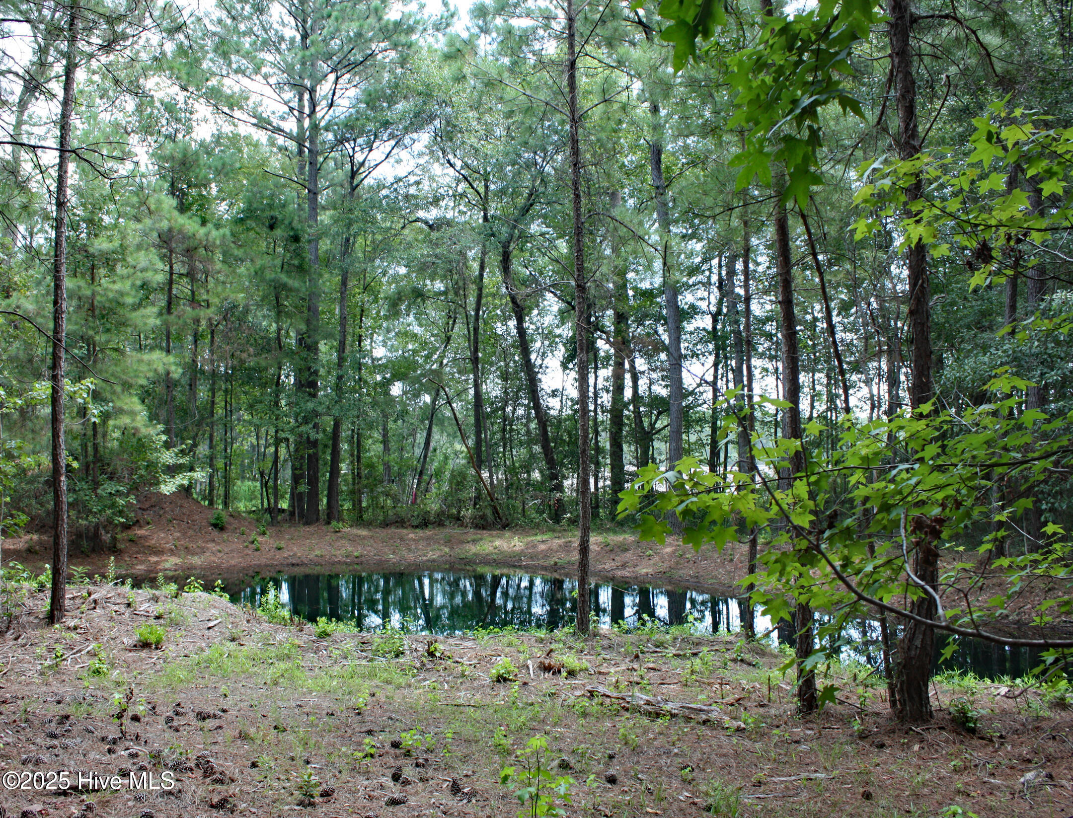 6780 Hanbury Place Property Photo 1