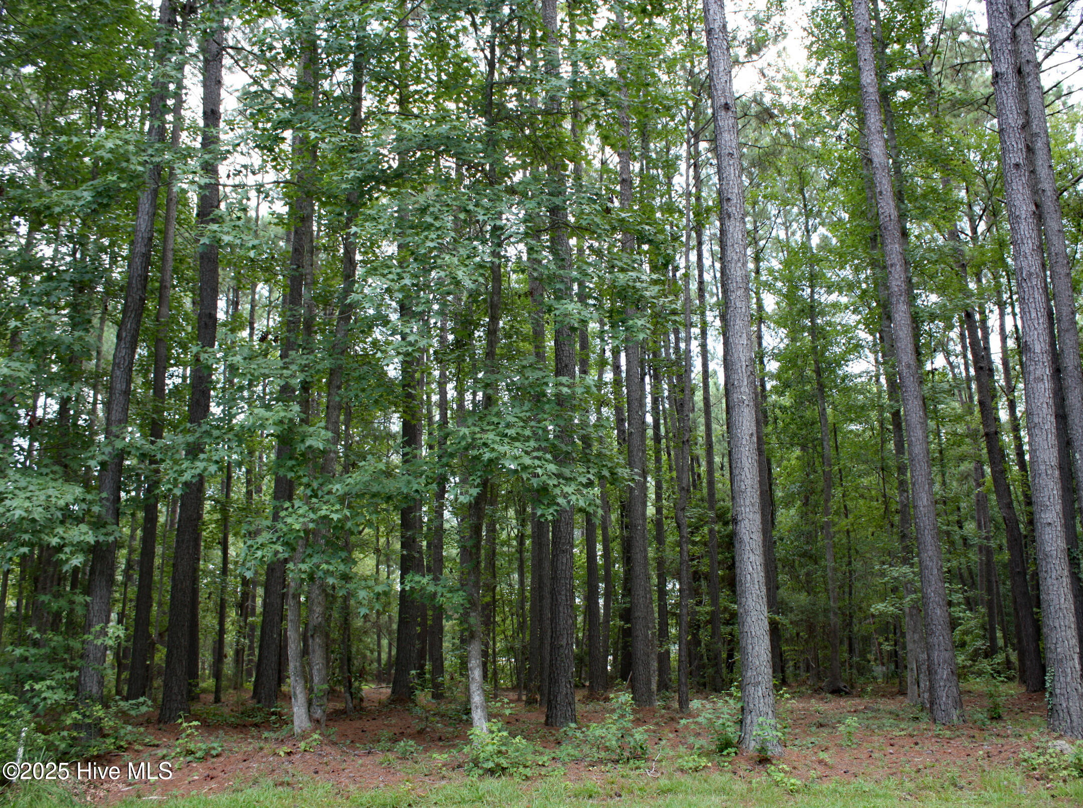 6780 Hanbury Place Property Photo 3