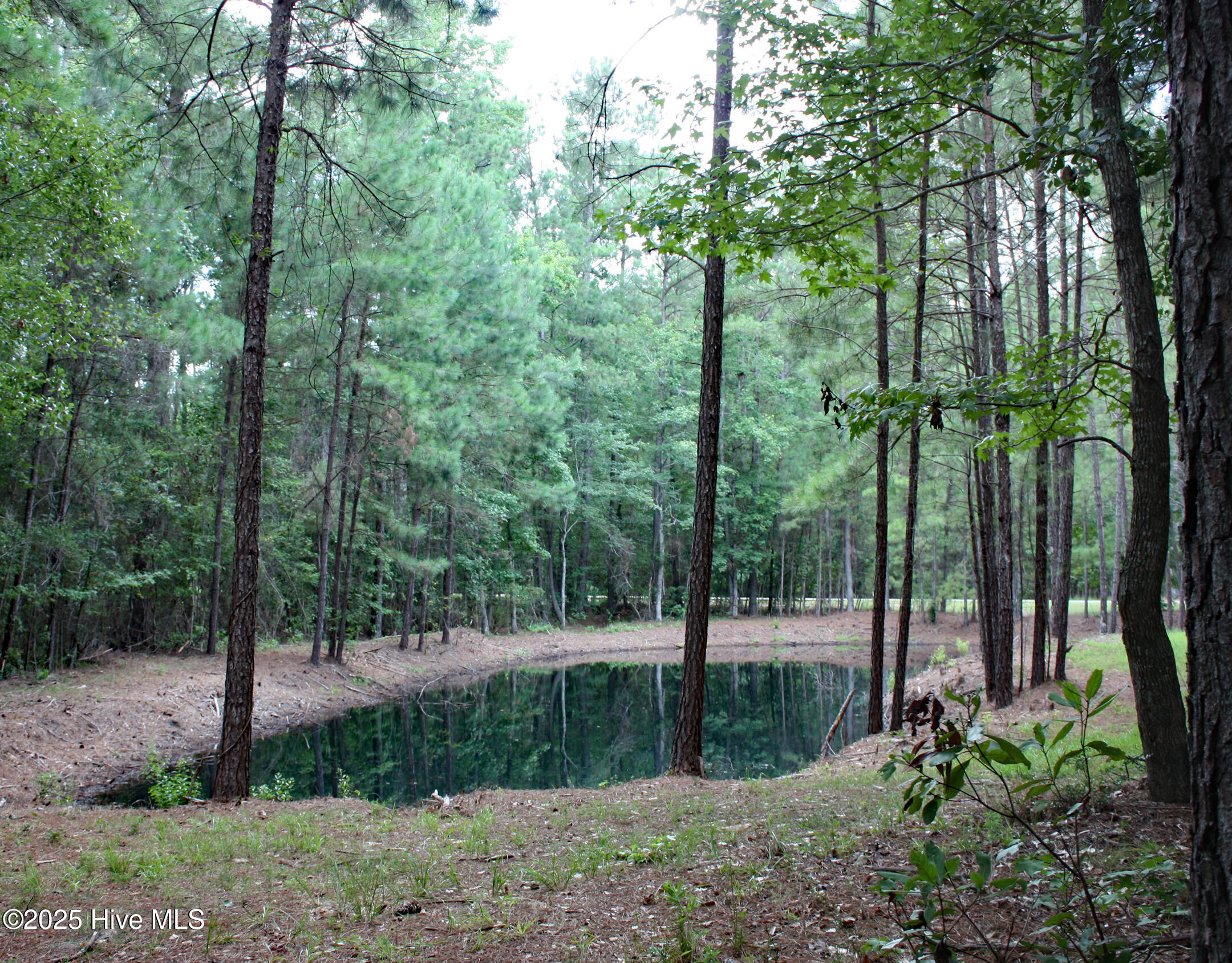 6781 Hanbury Place Property Photo 1
