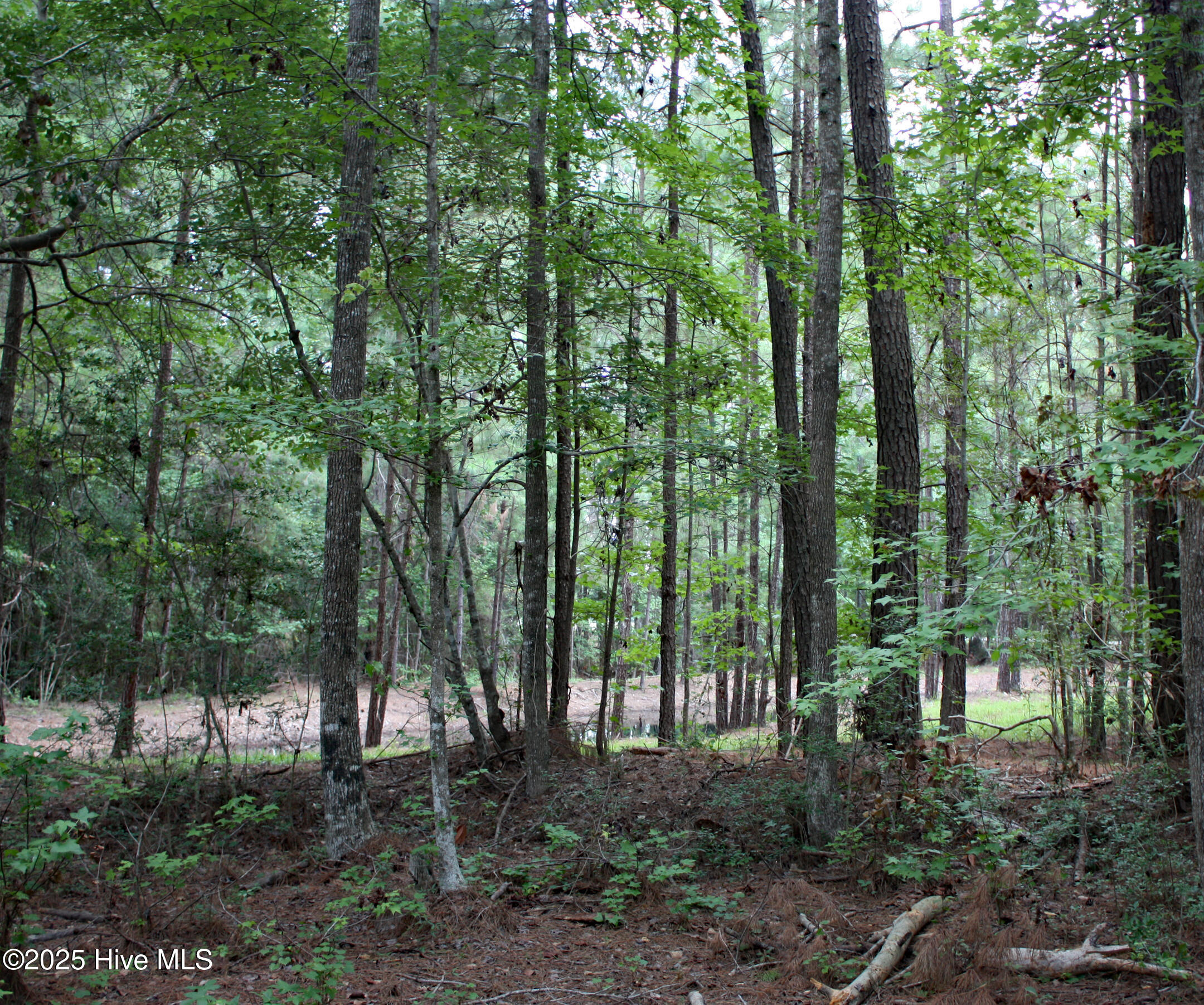 6781 Hanbury Place Property Photo 2